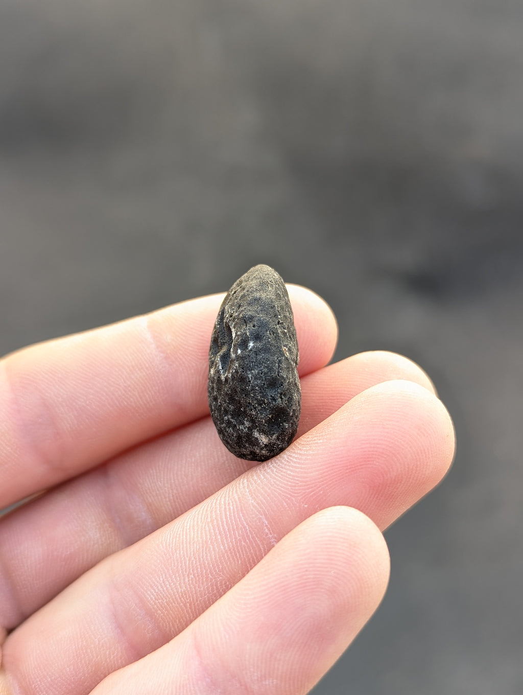 Moravian Moldavite – Slavětice | 10.43 g | Collector-Grade Specimen