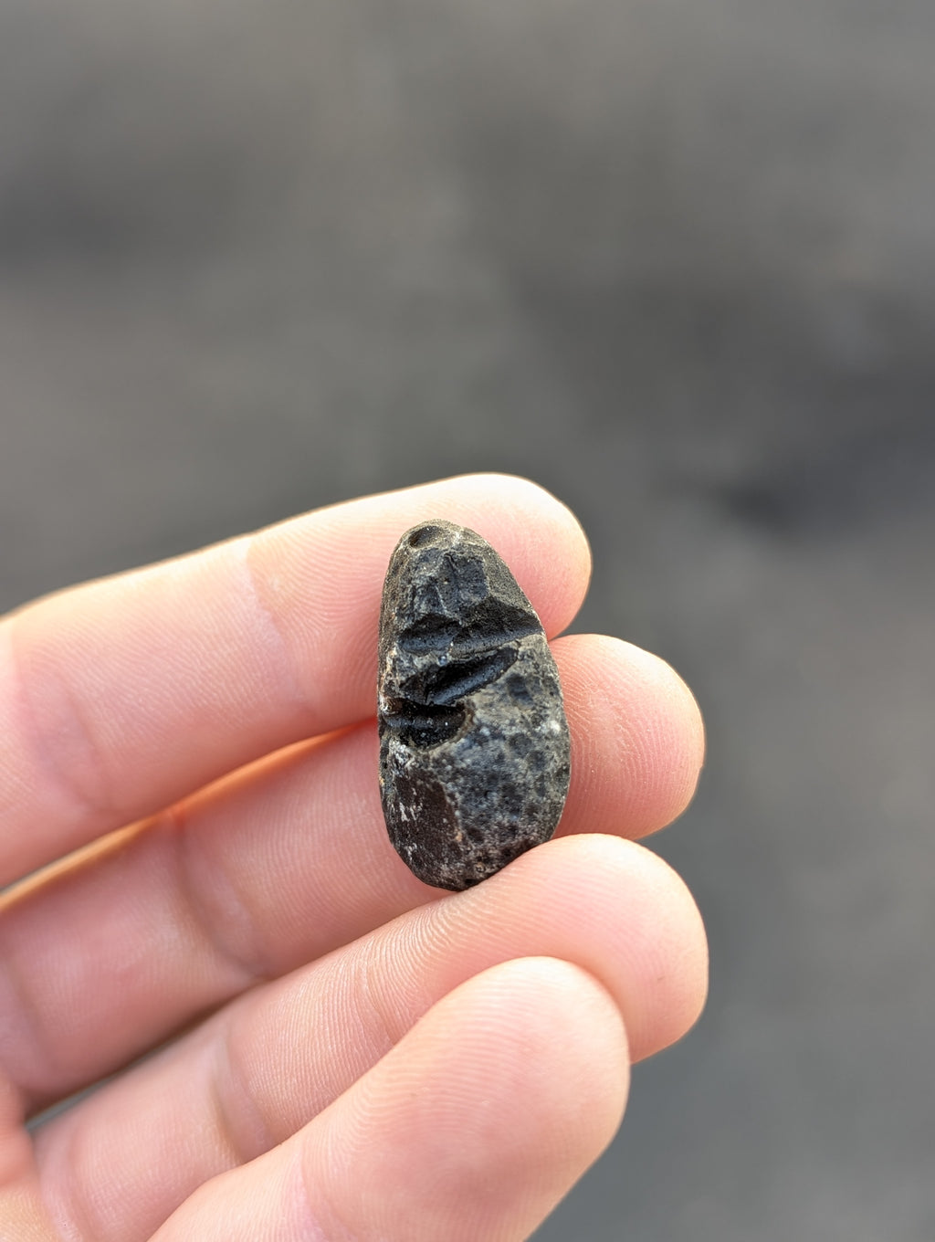 Moravian Moldavite – Slavětice | 10.43 g | Collector-Grade Specimen