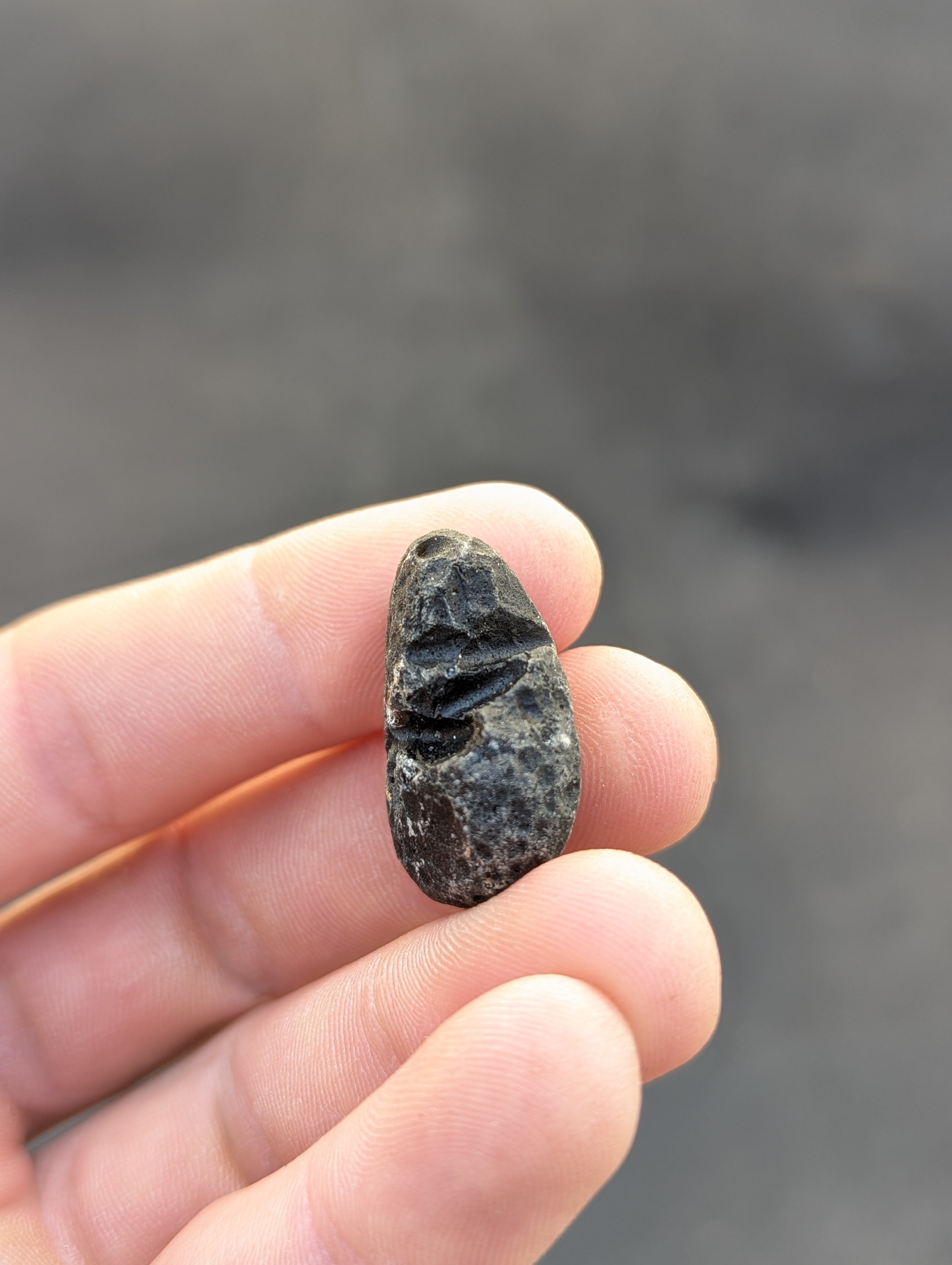 Moravian Moldavite – Slavětice | 10.43 g | Collector-Grade Specimen