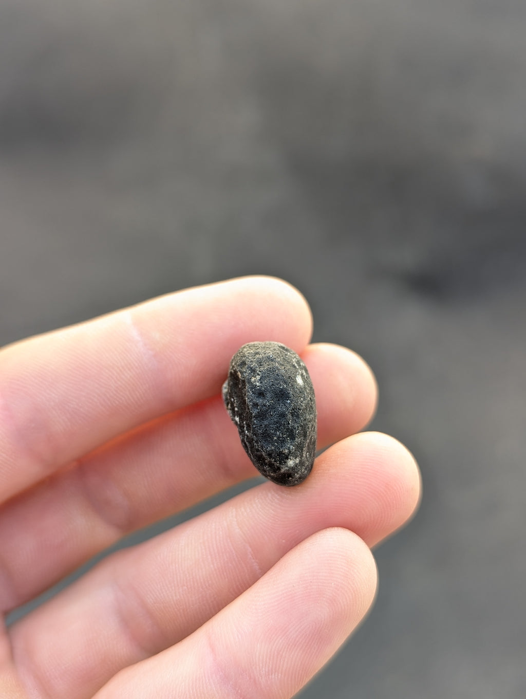 Moravian Moldavite – Slavětice | 10.43 g | Collector-Grade Specimen
