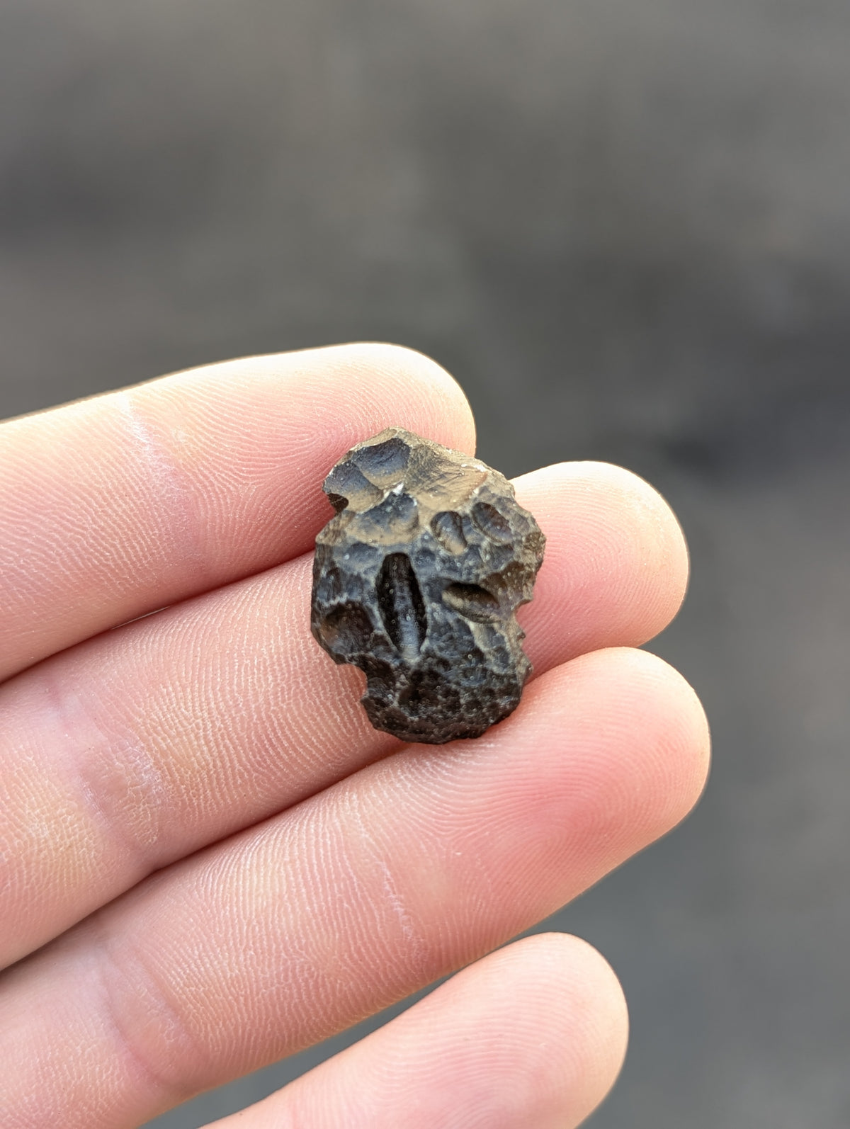 Moravian Moldavite – Slavětice | 4.62 g | Collector-Grade Specimen