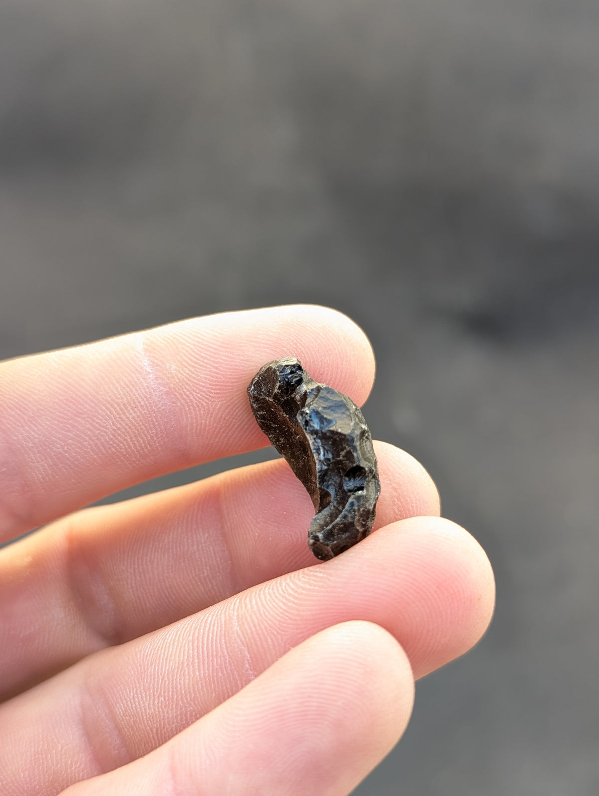 Moravian Moldavite – Slavětice | 4.62 g | Collector-Grade Specimen