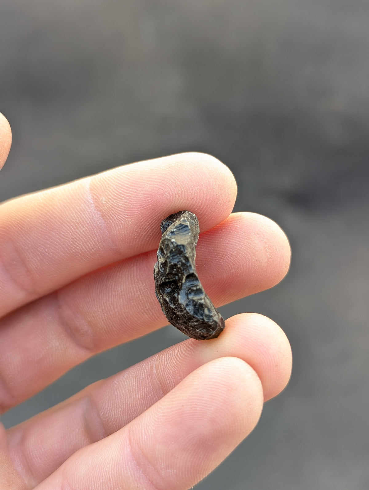Moravian Moldavite – Slavětice | 4.62 g | Collector-Grade Specimen