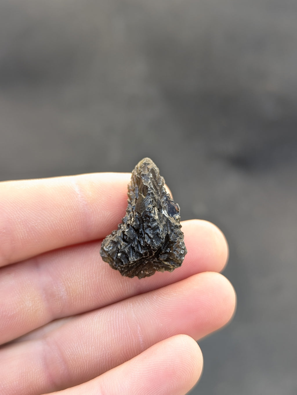 Moravian Moldavite – Slavětice | 8.73 g | Collector-Grade Specimen