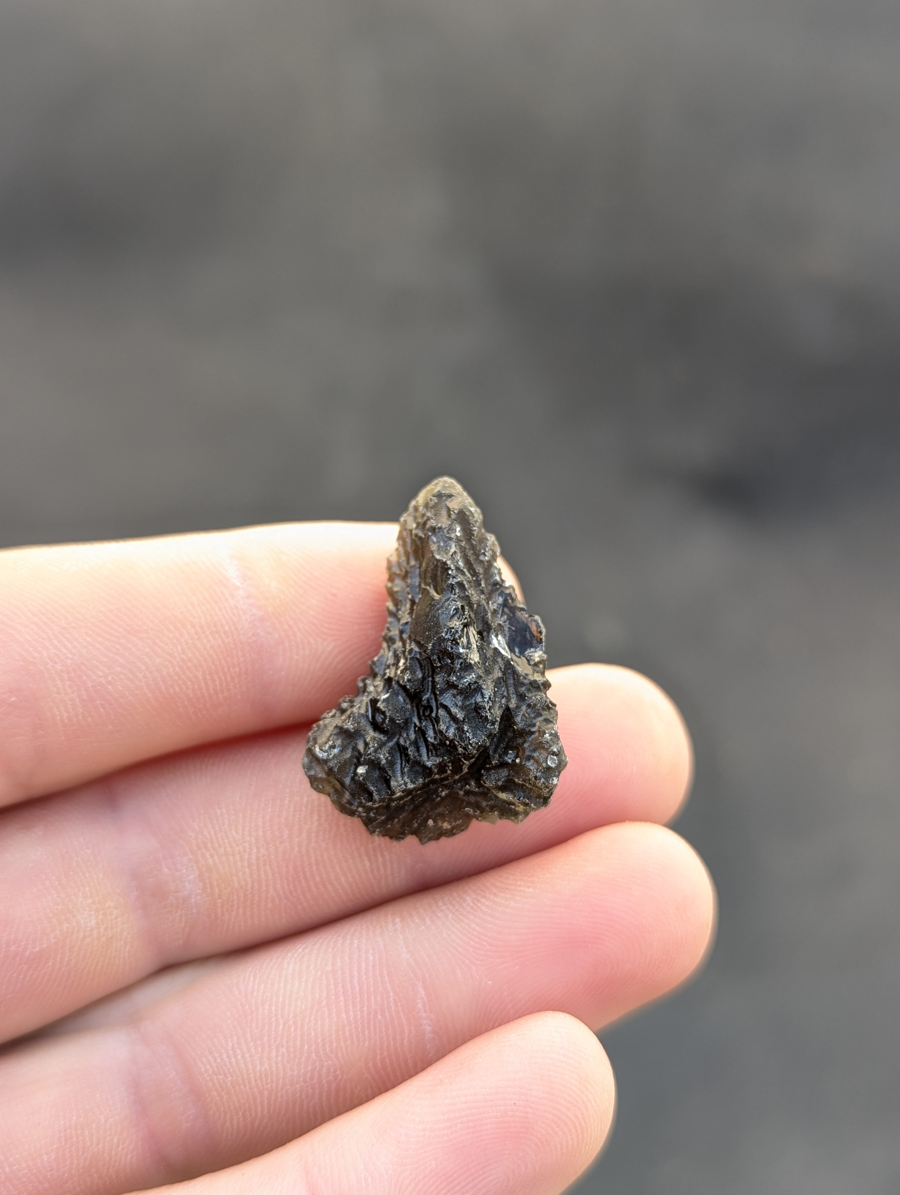 Moravian Moldavite – Slavětice | 8.73 g | Collector-Grade Specimen