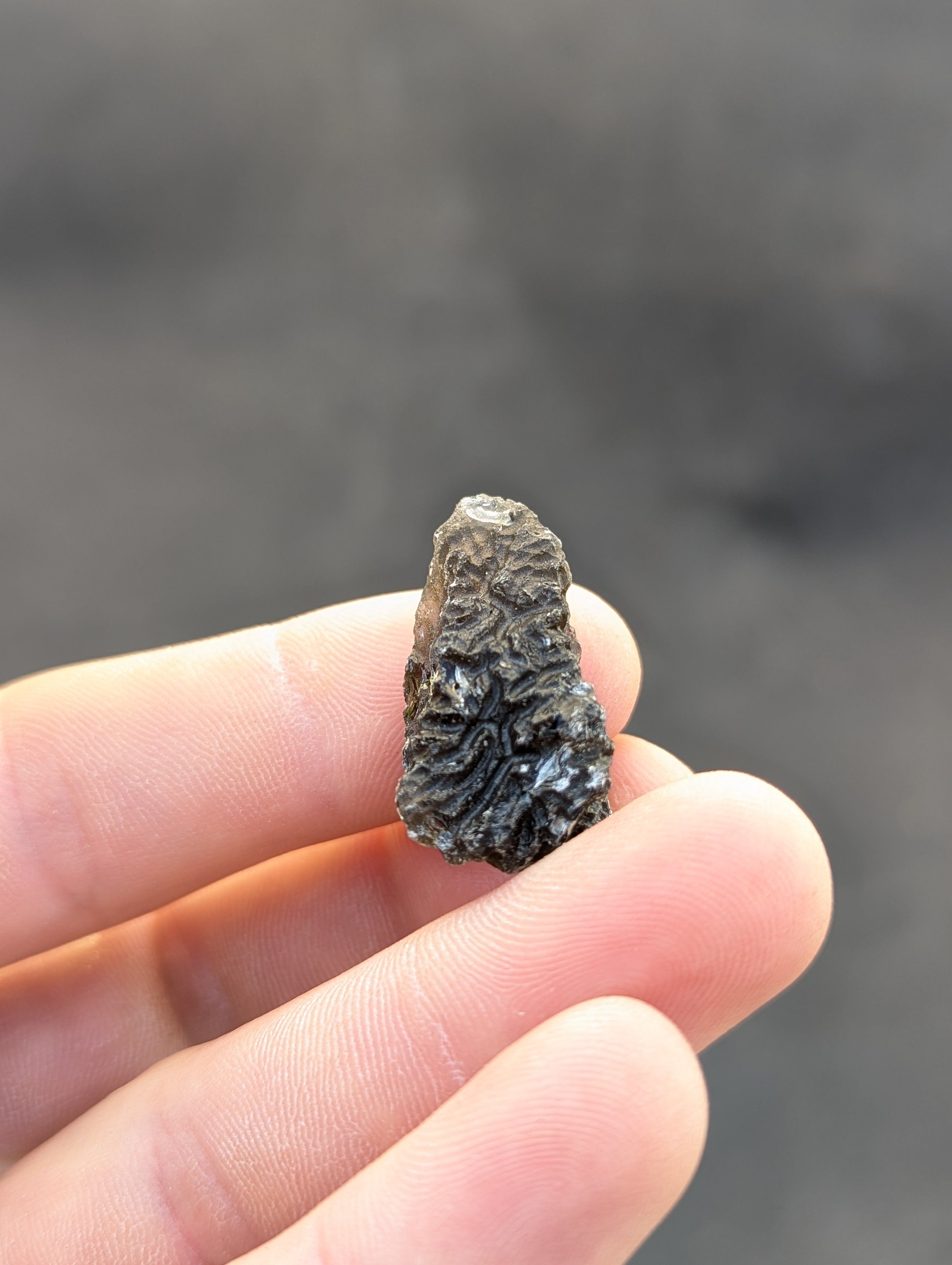 Moravian Moldavite – Slavětice | 8.73 g | Collector-Grade Specimen