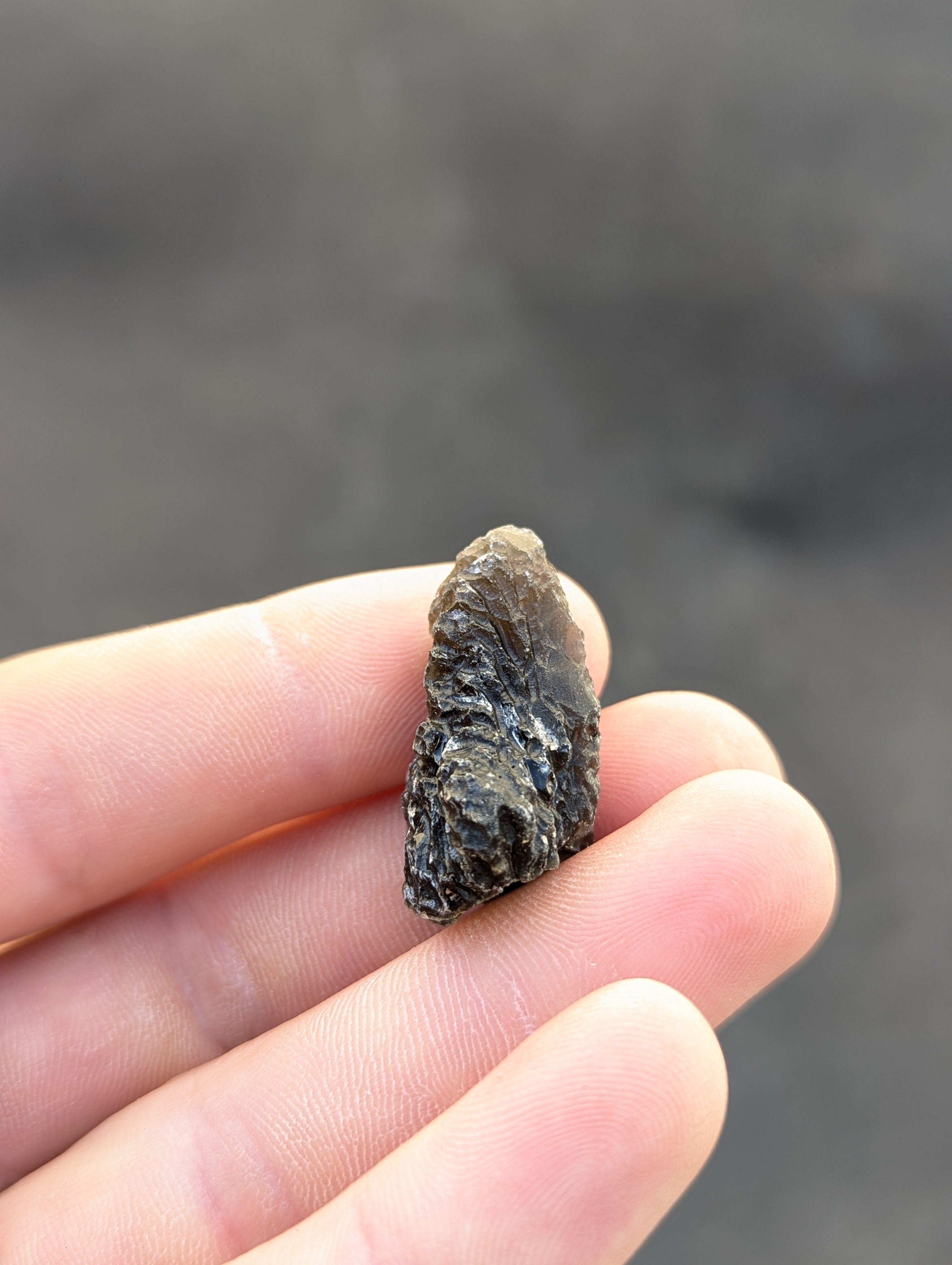 Moravian Moldavite – Slavětice | 8.73 g | Collector-Grade Specimen