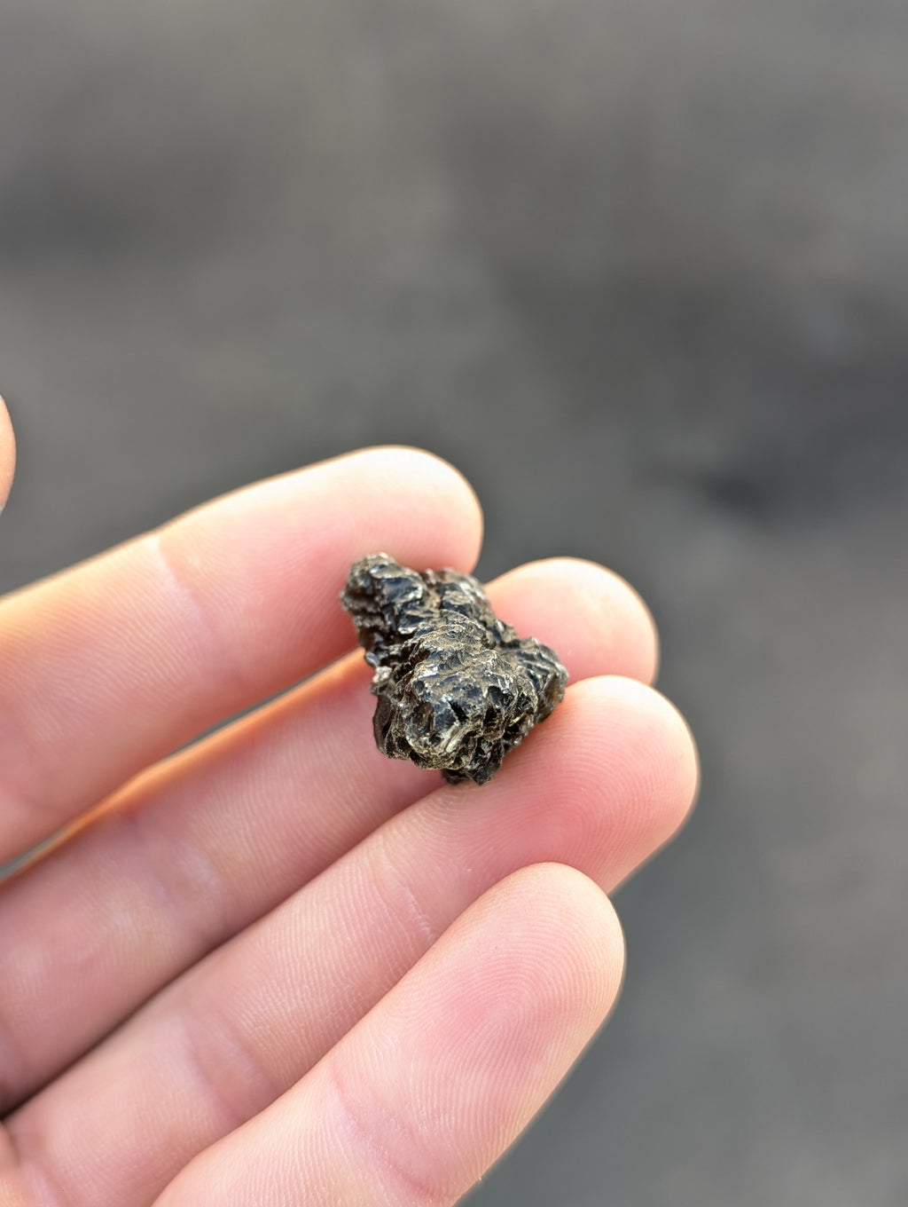 Moravian Moldavite – Slavětice | 8.73 g | Collector-Grade Specimen