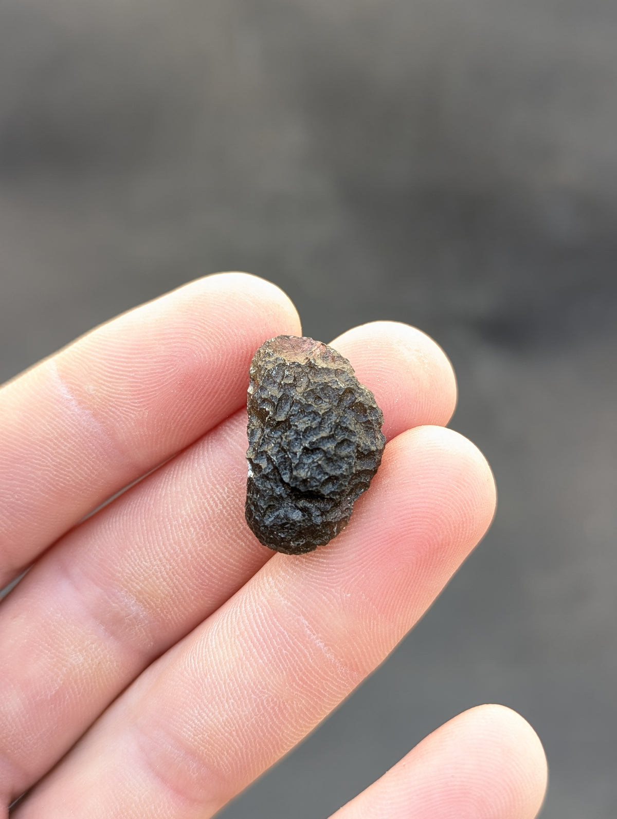 Moravian Moldavite – Slavětice | 4.83 g | Collector-Grade Specimen