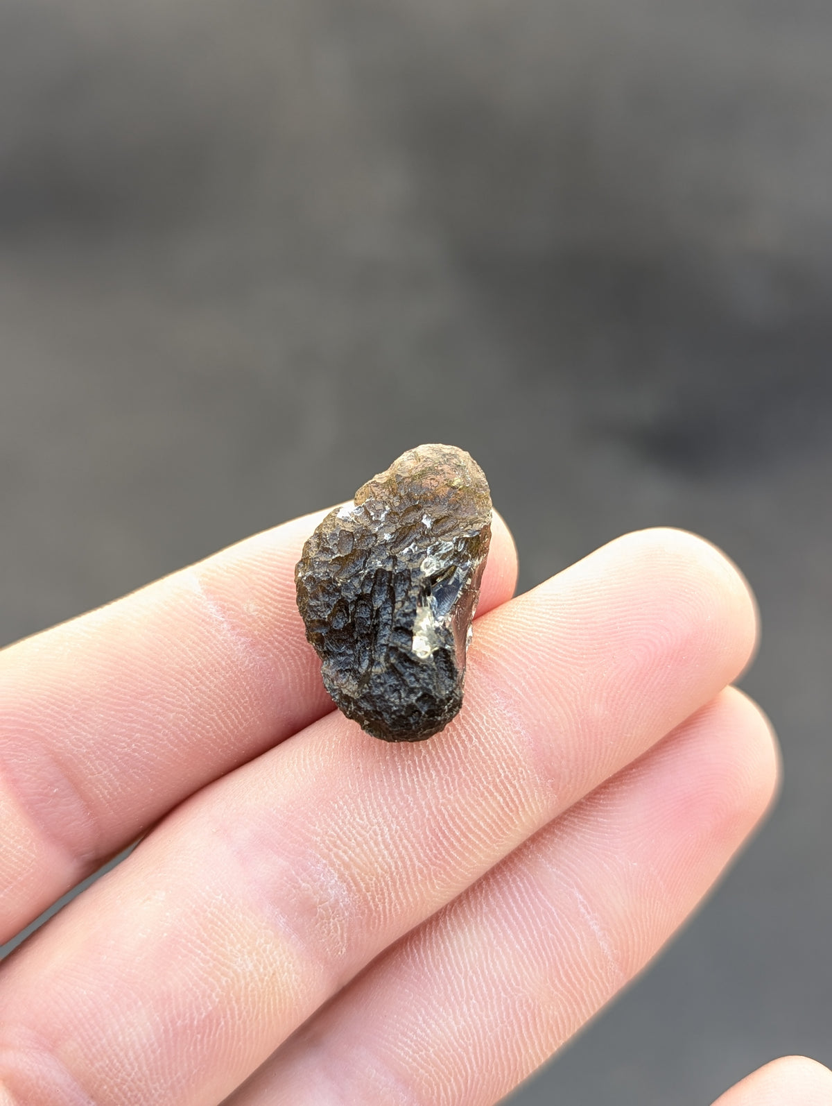 Moravian Moldavite – Slavětice | 4.83 g | Collector-Grade Specimen
