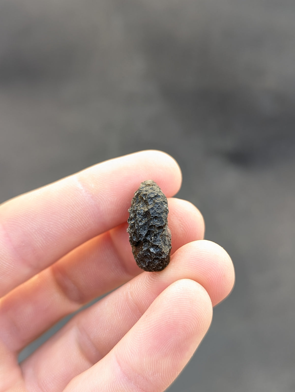 Moravian Moldavite – Slavětice | 4.83 g | Collector-Grade Specimen
