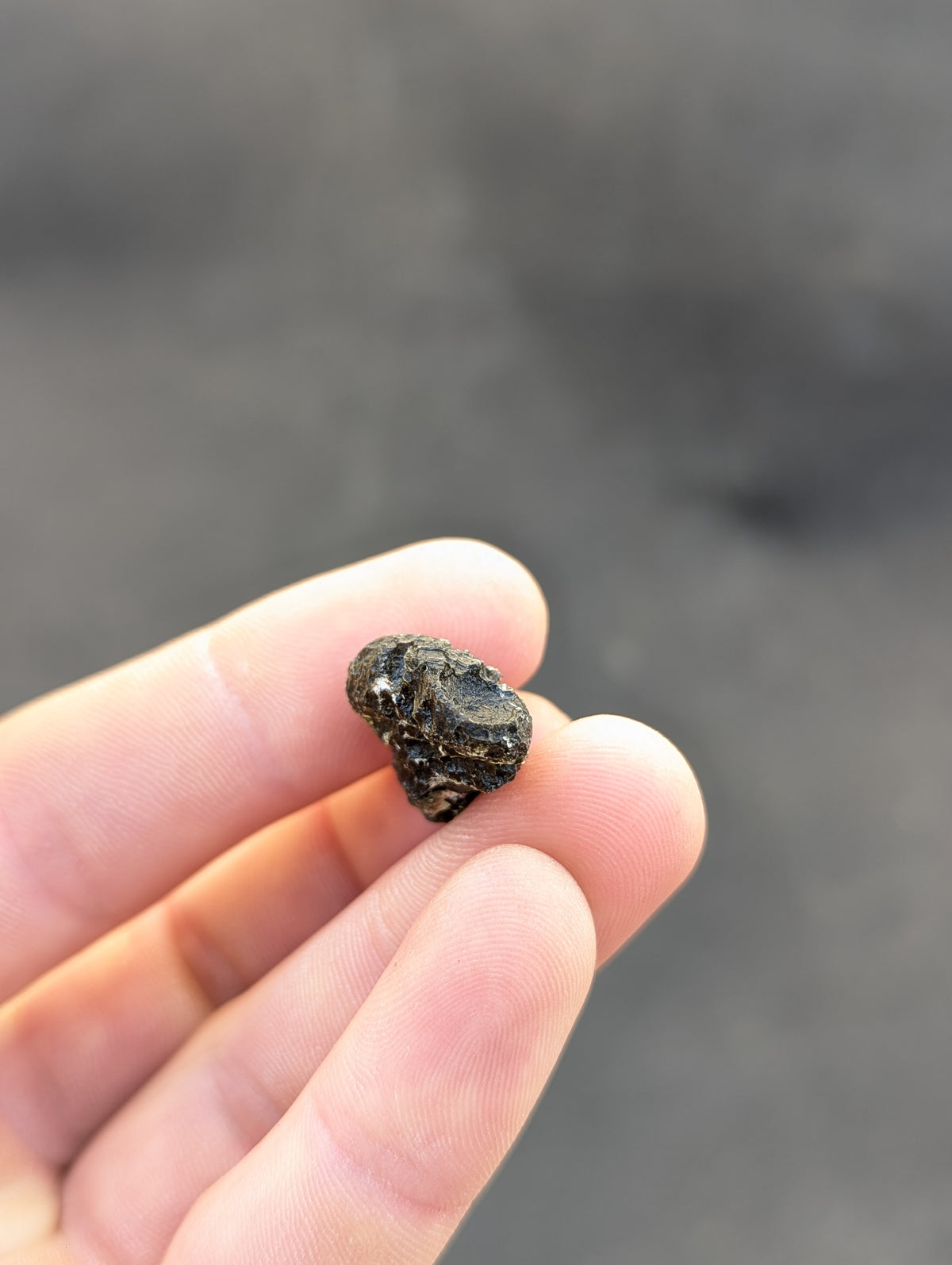 Moravian Moldavite – Slavětice | 4.83 g | Collector-Grade Specimen