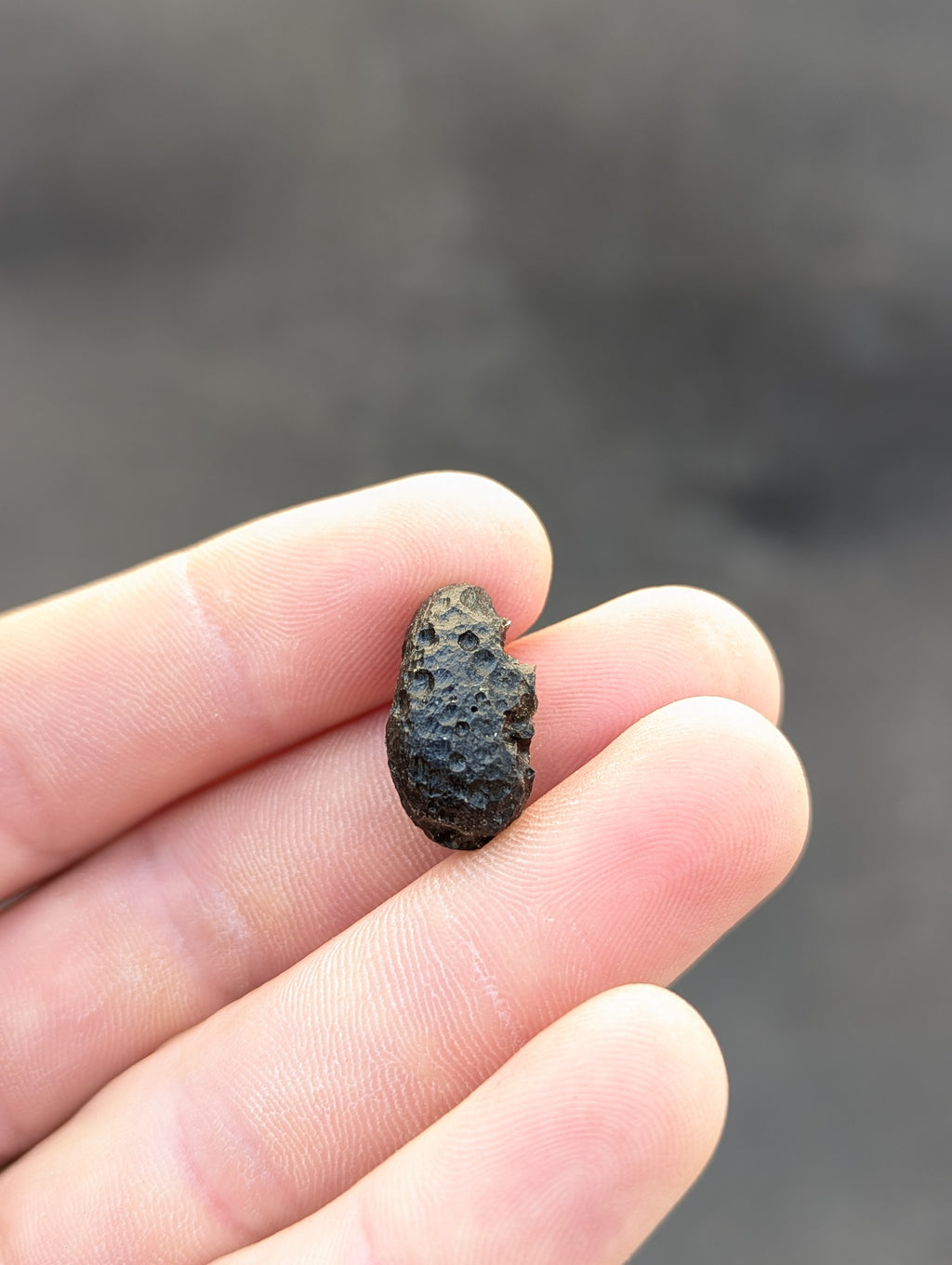 Moravian Moldavite – Slavětice | 4.00 g | Collector-Grade Specimen
