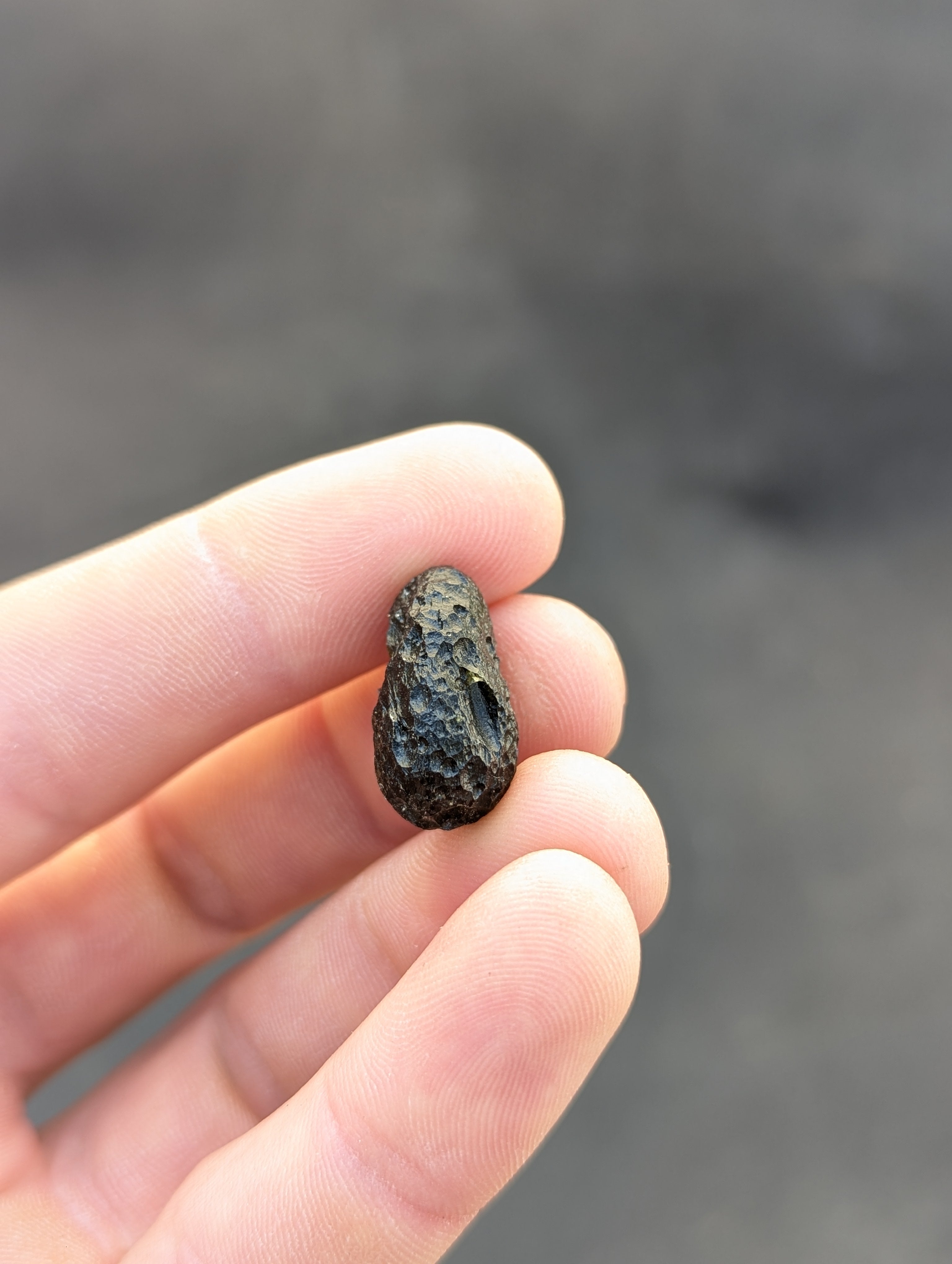 Moravian Moldavite – Slavětice | 4.00 g | Collector-Grade Specimen