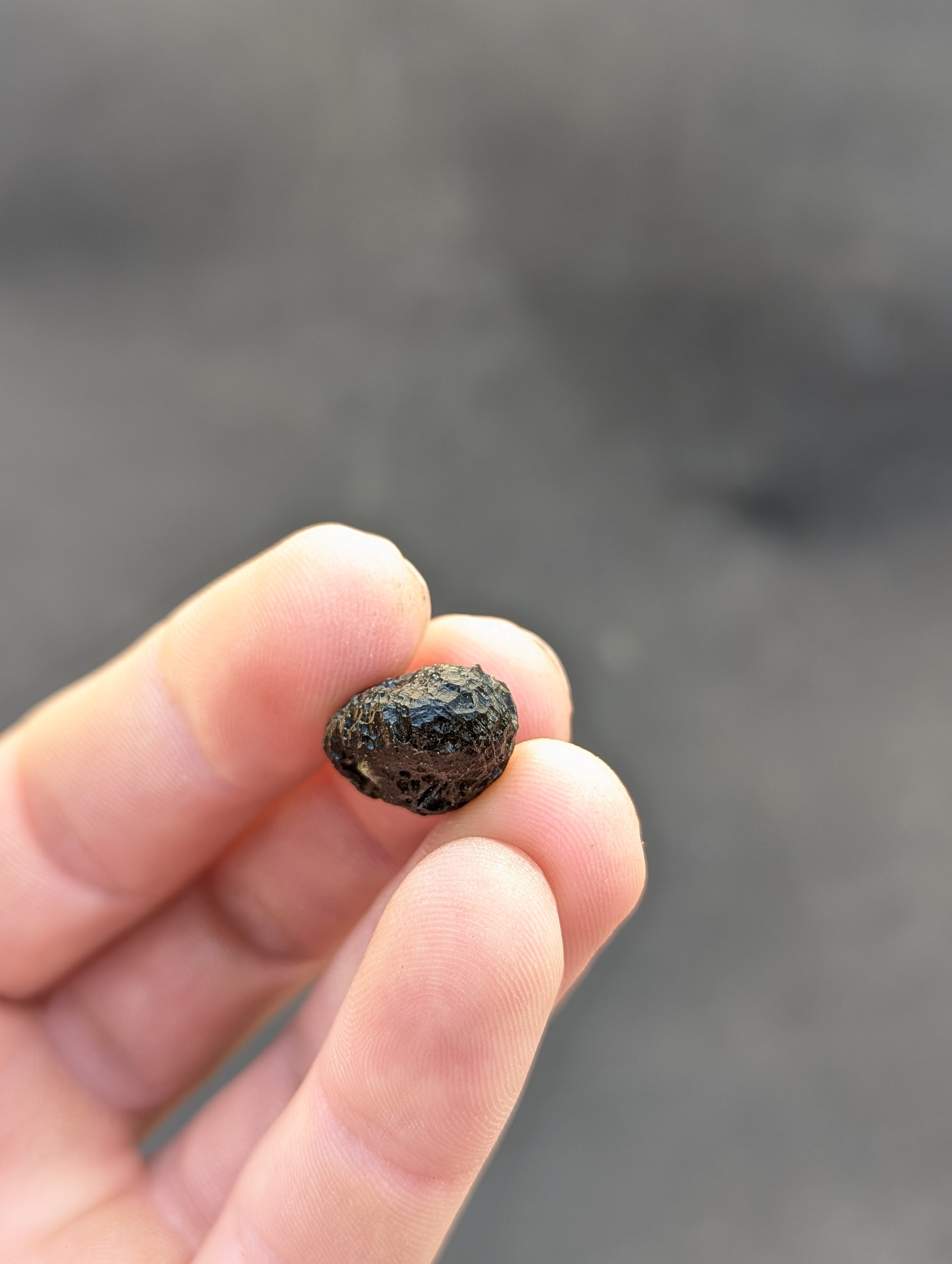 Moravian Moldavite – Slavětice | 4.00 g | Collector-Grade Specimen