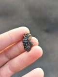 Moravian Moldavite – Slavětice | 2.42 g | Hedgehog Collector Specimen