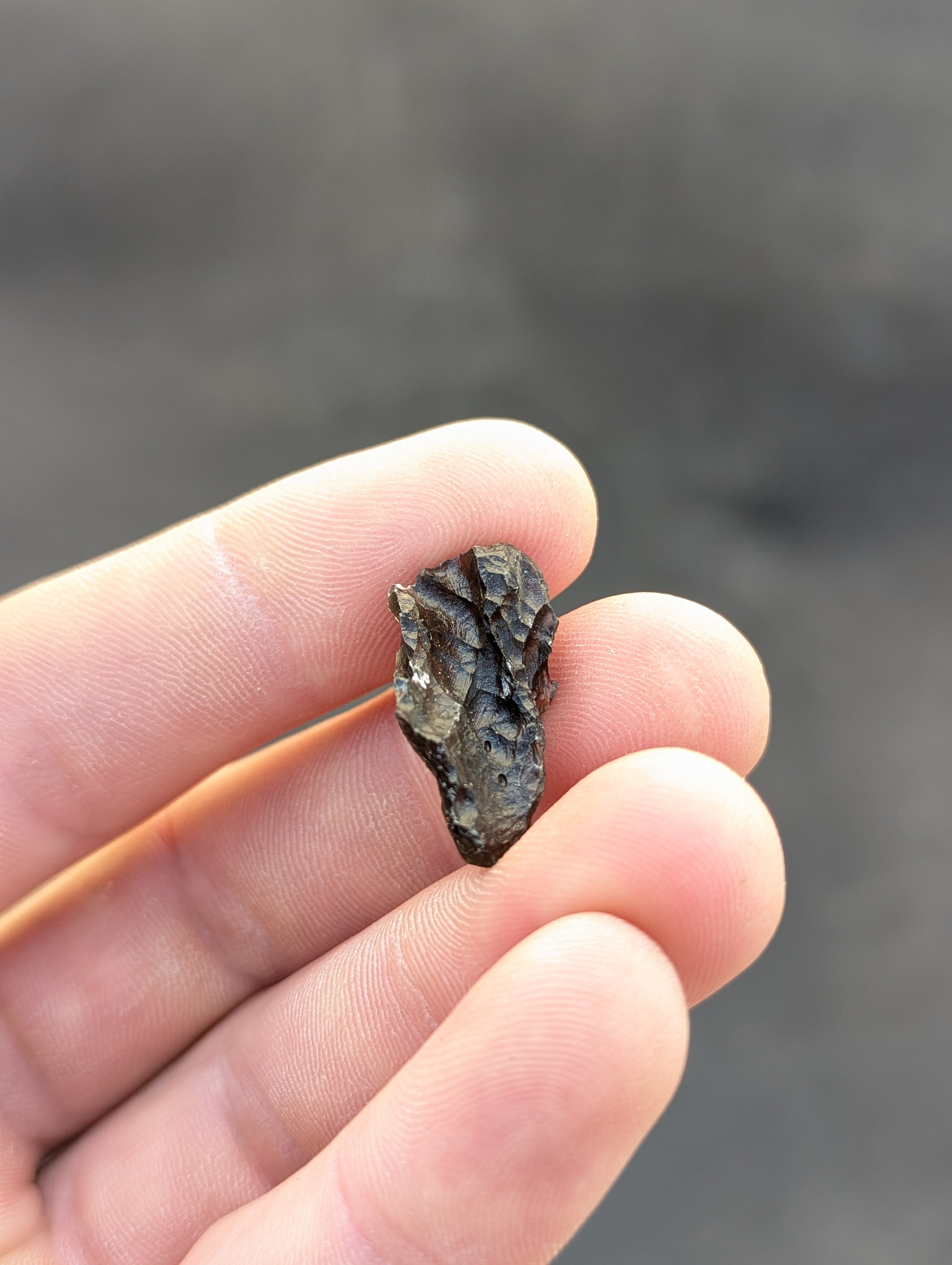 Moravian Moldavite – Slavětice | 2.42 g | Hedgehog Collector Specimen