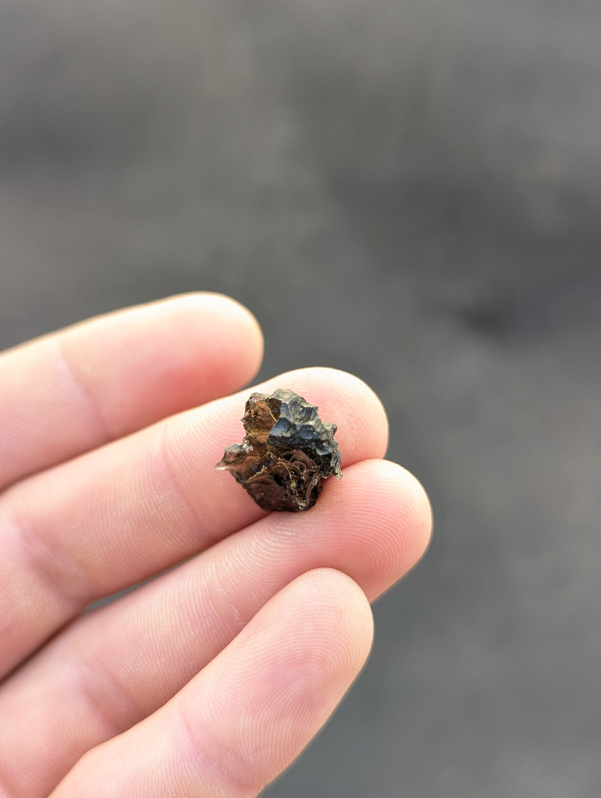 Moravian Moldavite – Slavětice | 2.42 g | Hedgehog Collector Specimen