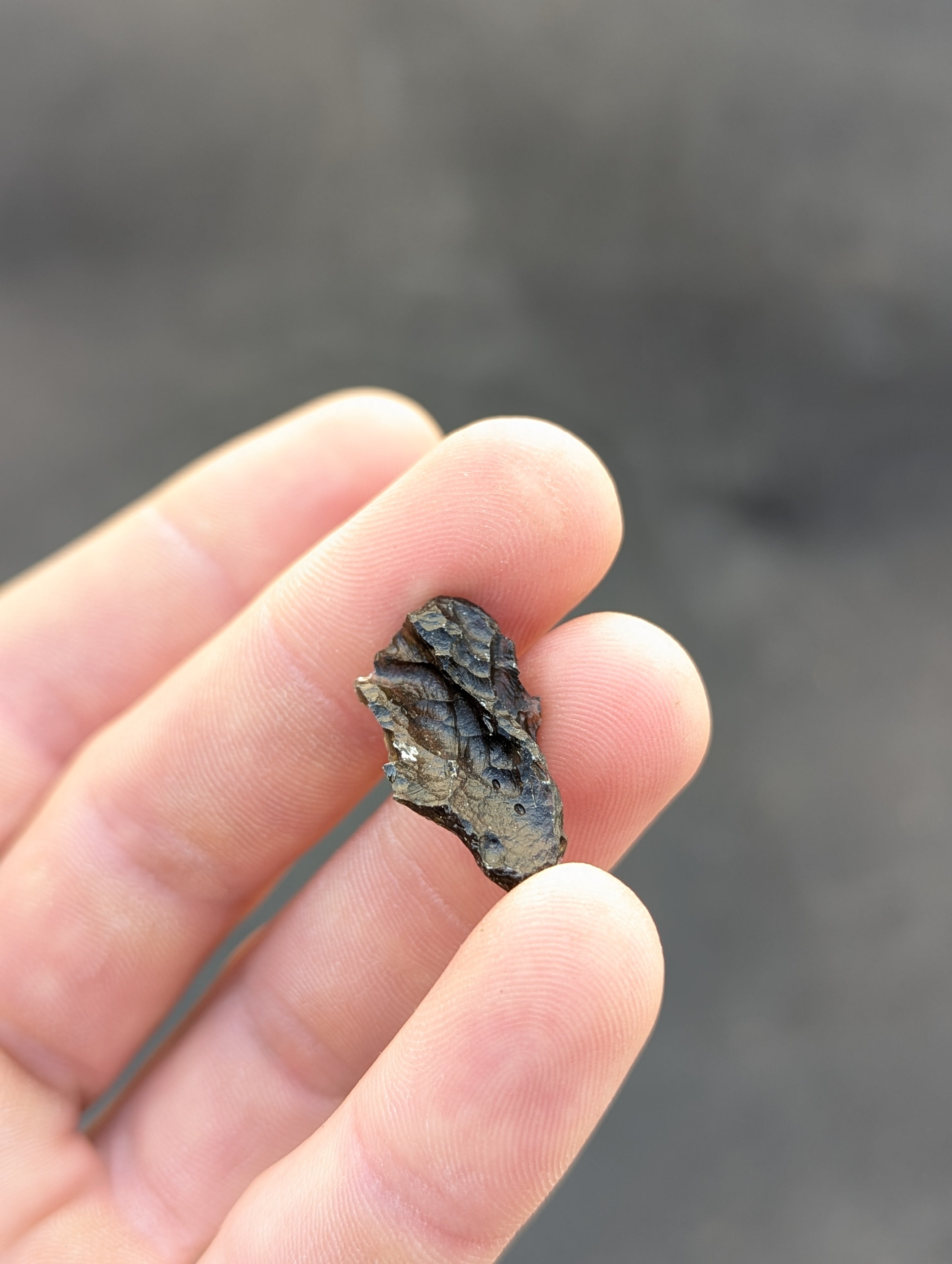Moravian Moldavite – Slavětice | 2.42 g | Hedgehog Collector Specimen