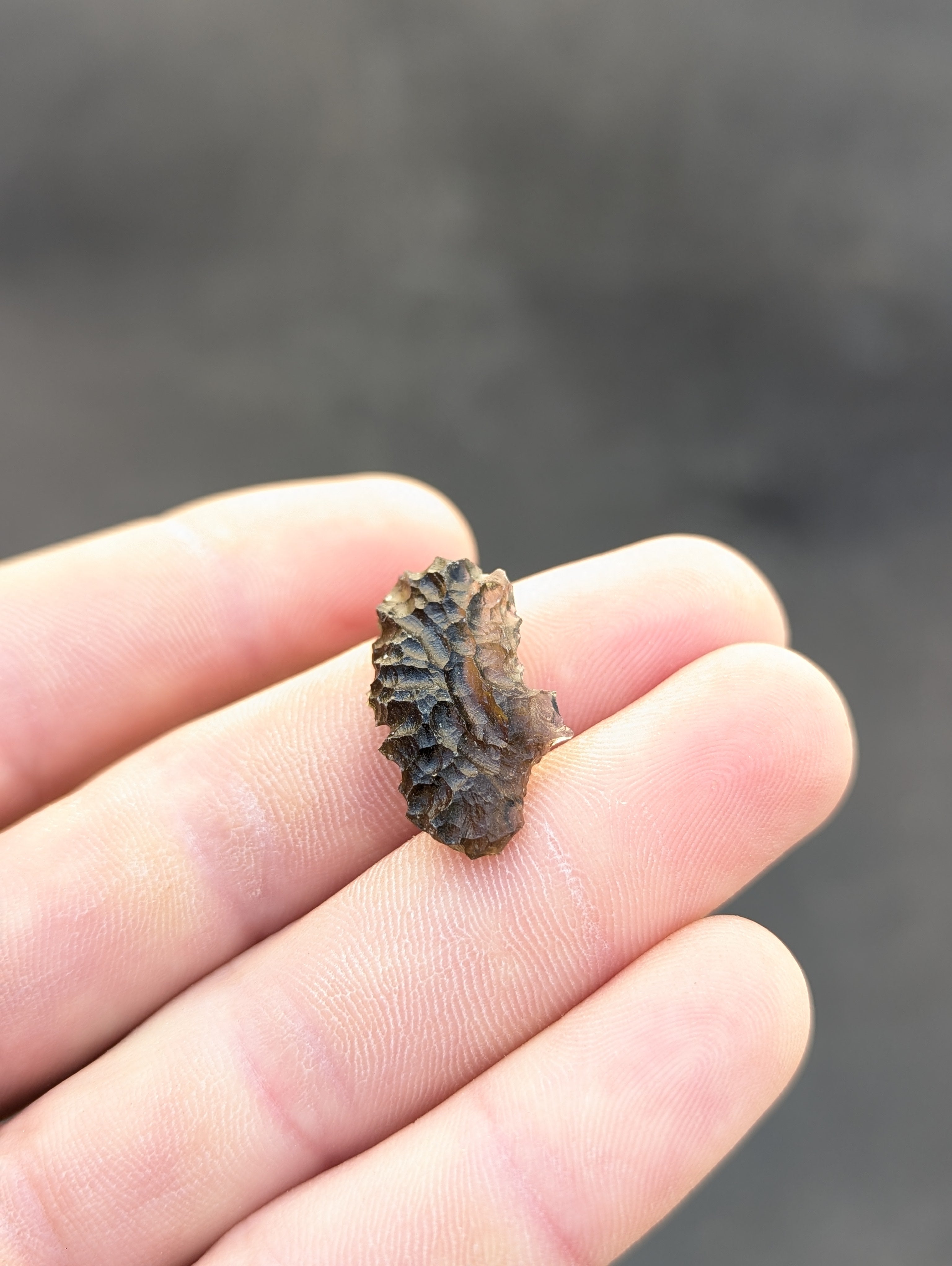 Moravian Moldavite – Slavětice | 2.42 g | Hedgehog Collector Specimen