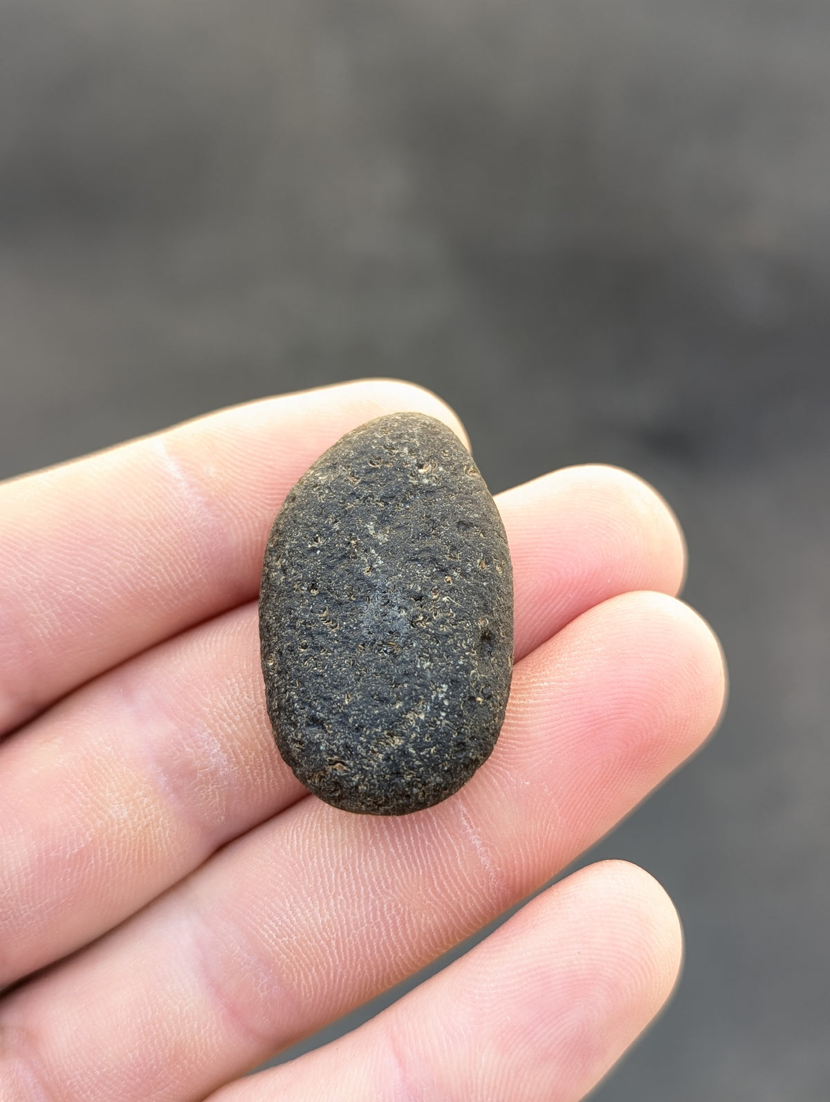 Moravian Moldavite – Kuchařovice | 12.01 g | Oval Collector Specimen