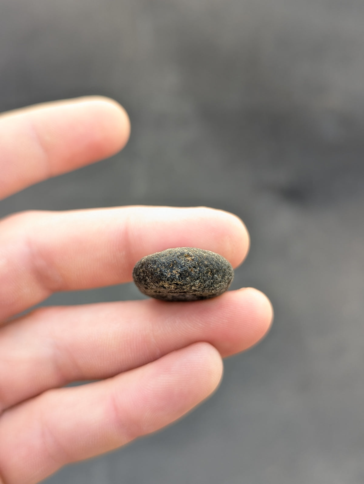 Moravian Moldavite – Kuchařovice | 12.01 g | Oval Collector Specimen