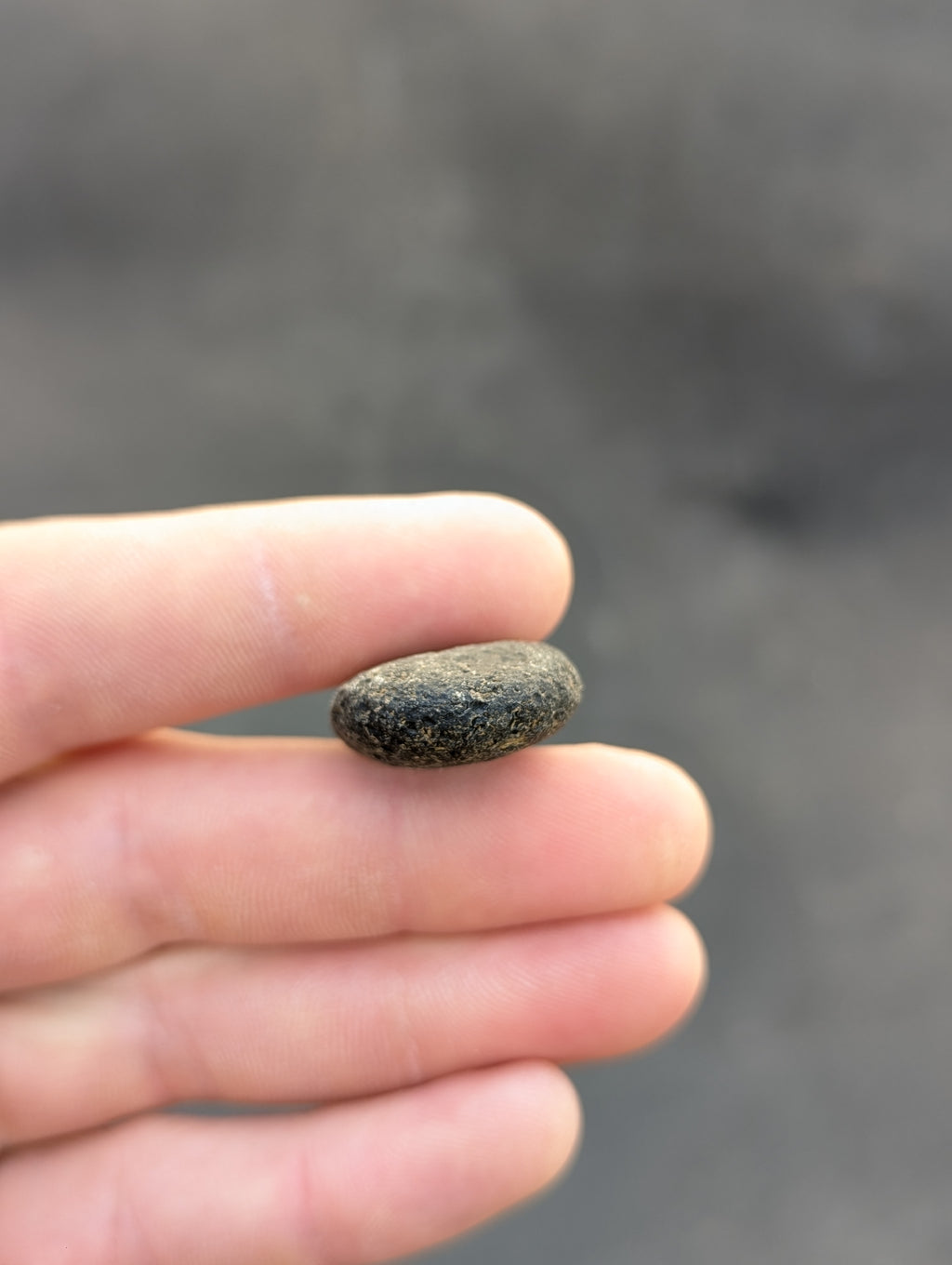 Moravian Moldavite – Kuchařovice | 12.01 g | Oval Collector Specimen