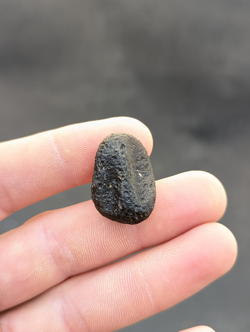 Moravian Moldavite – Kuchařovice | 7.00 g | Collector-Grade Specimen