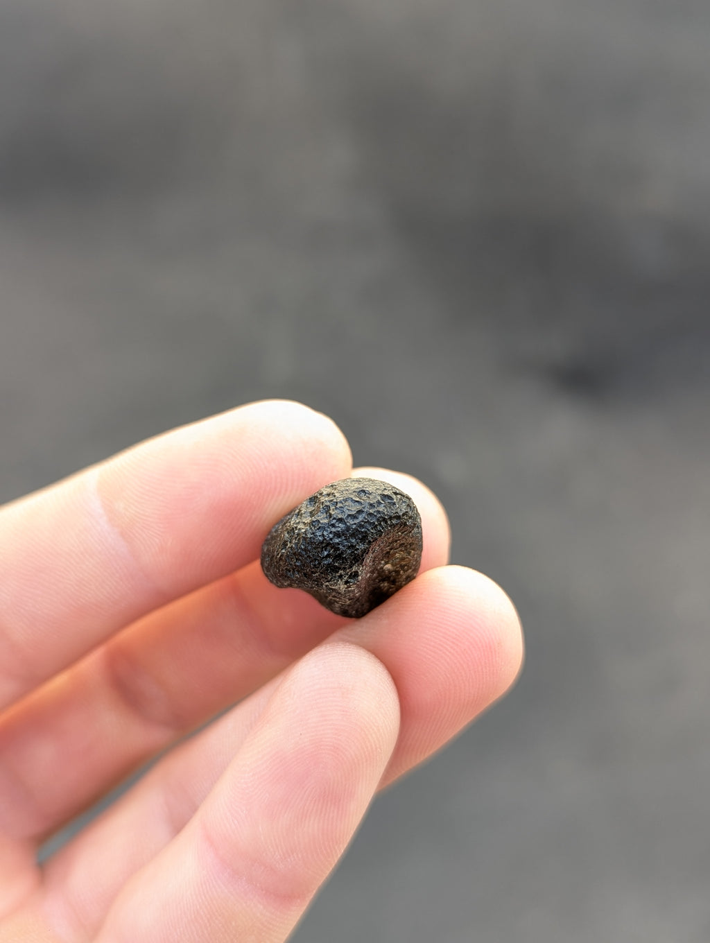 Moravian Moldavite – Kuchařovice | 7.00 g | Collector-Grade Specimen
