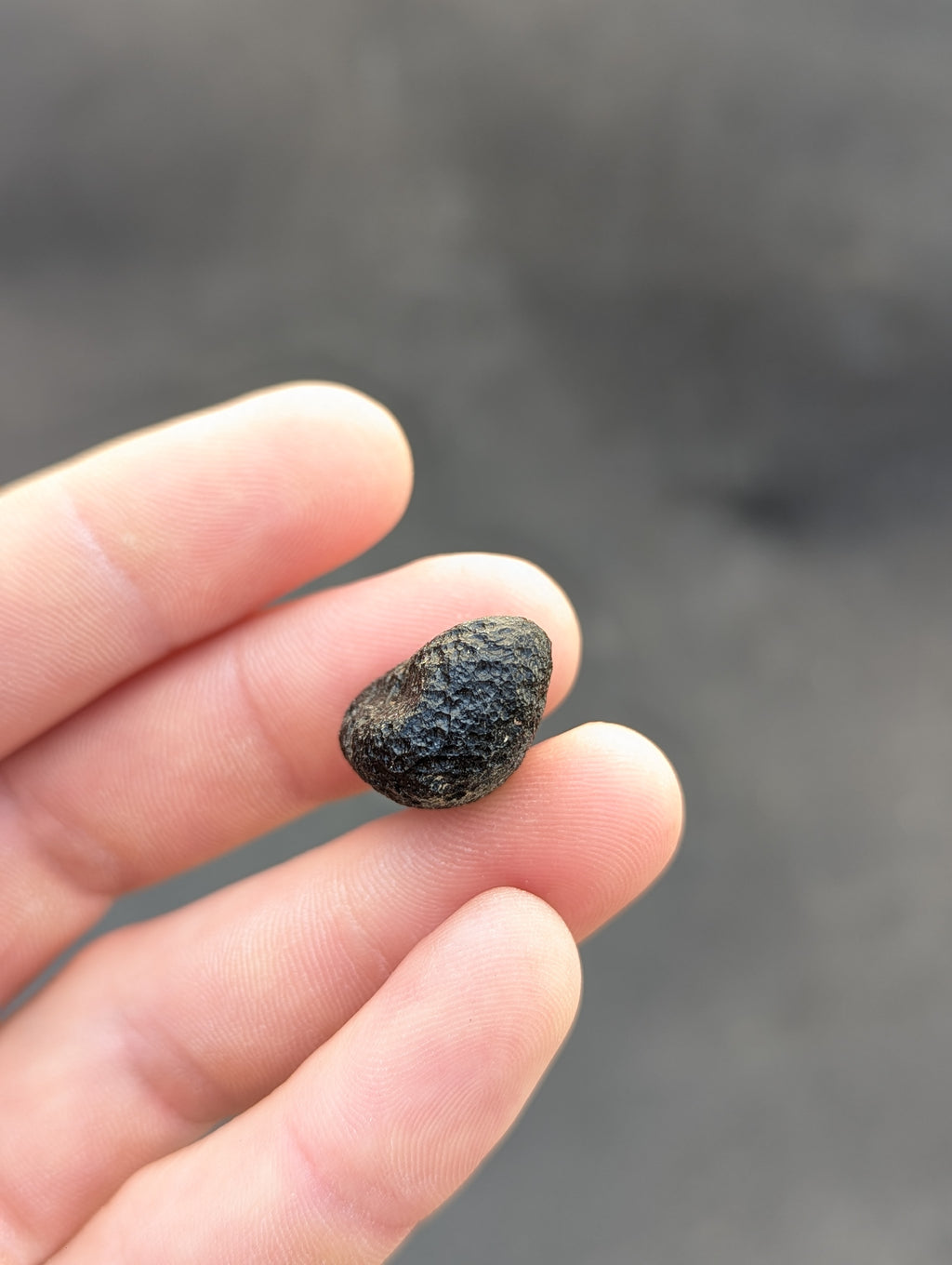 Moravian Moldavite – Kuchařovice | 7.00 g | Collector-Grade Specimen