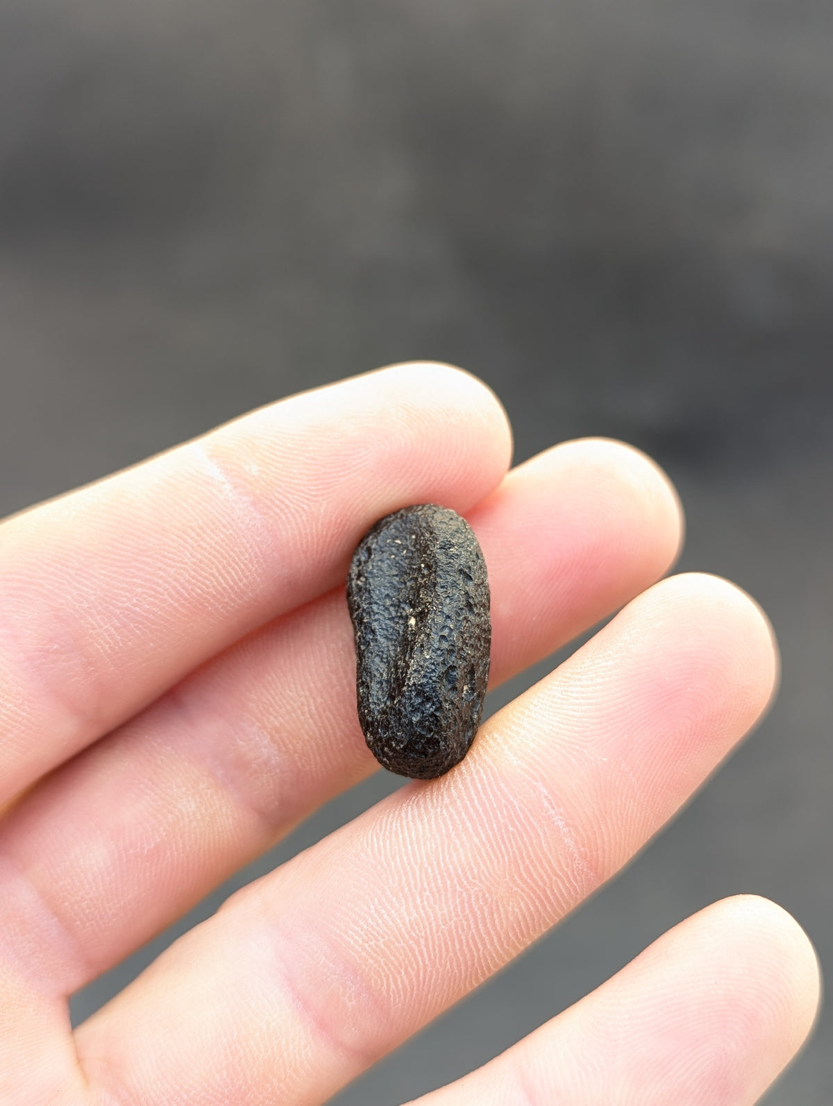 Moravian Moldavite – Kuchařovice | 7.00 g | Collector-Grade Specimen