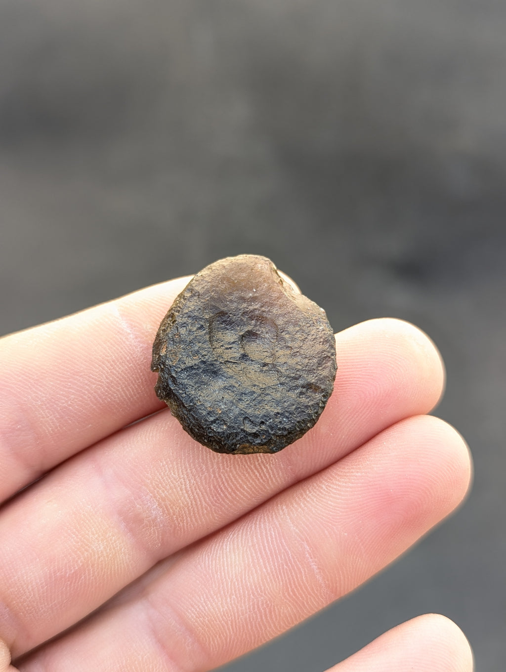 Moravian Moldavite – Kuchařovice | 8.15 g | Green Disk Collector Specimen