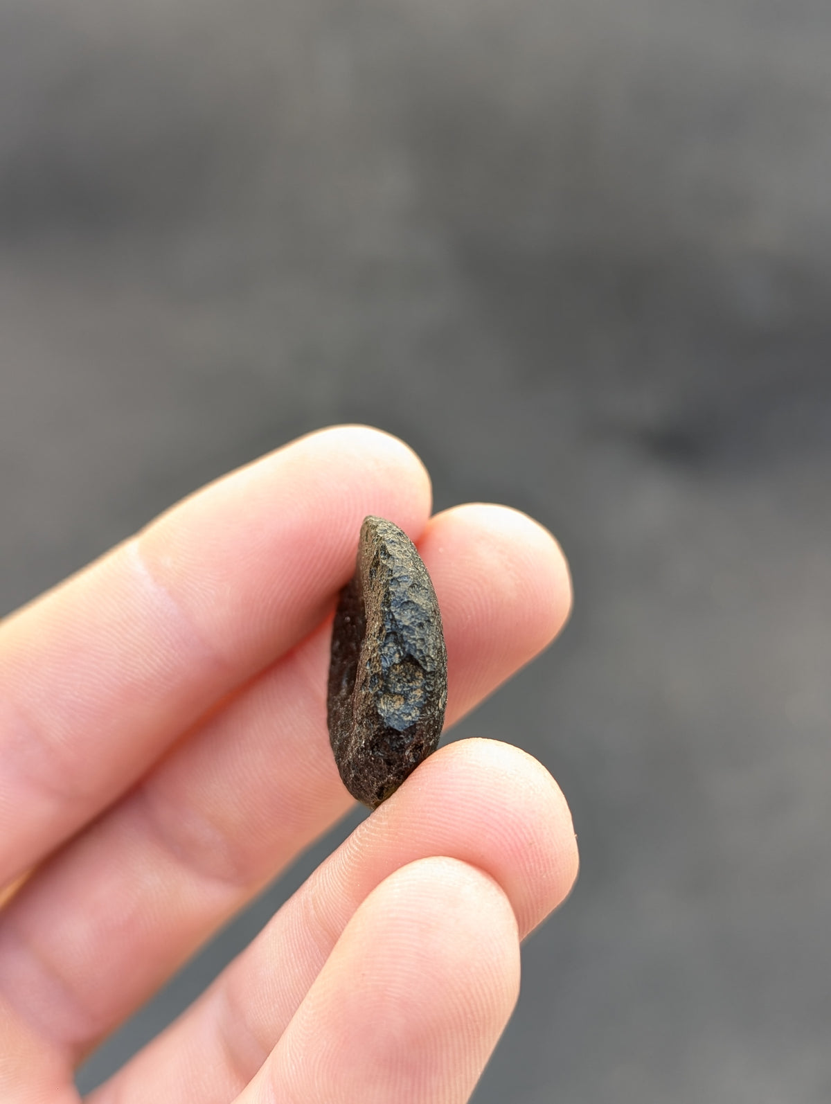 Moravian Moldavite – Kuchařovice | 8.15 g | Green Disk Collector Specimen