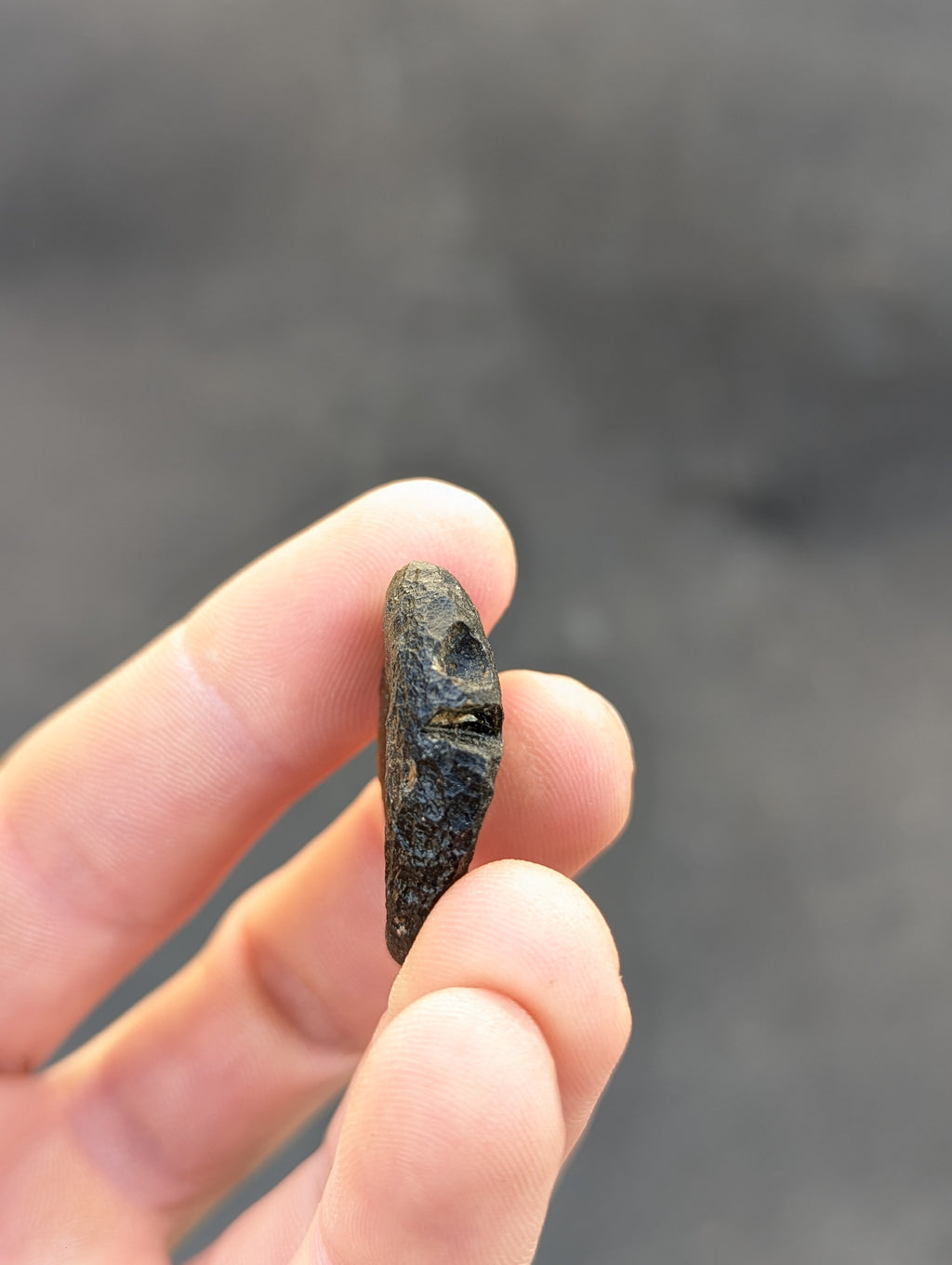 Moravian Moldavite – Kuchařovice | 8.15 g | Green Disk Collector Specimen