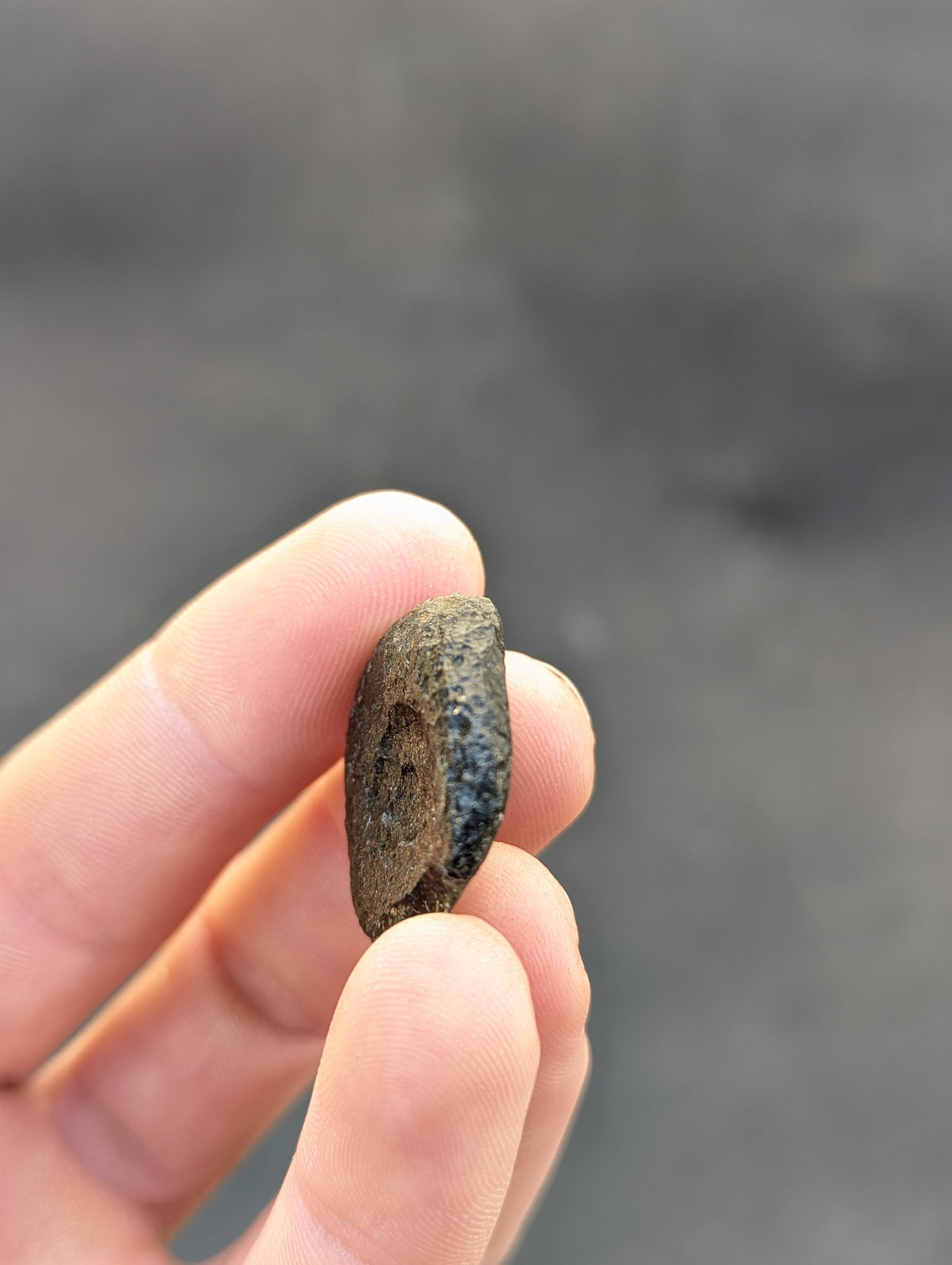 Moravian Moldavite – Kuchařovice | 8.15 g | Green Disk Collector Specimen