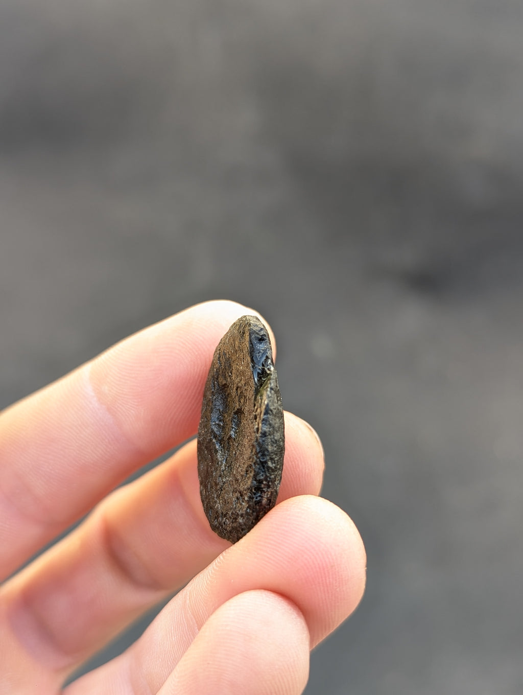 Moravian Moldavite – Kuchařovice | 8.15 g | Green Disk Collector Specimen