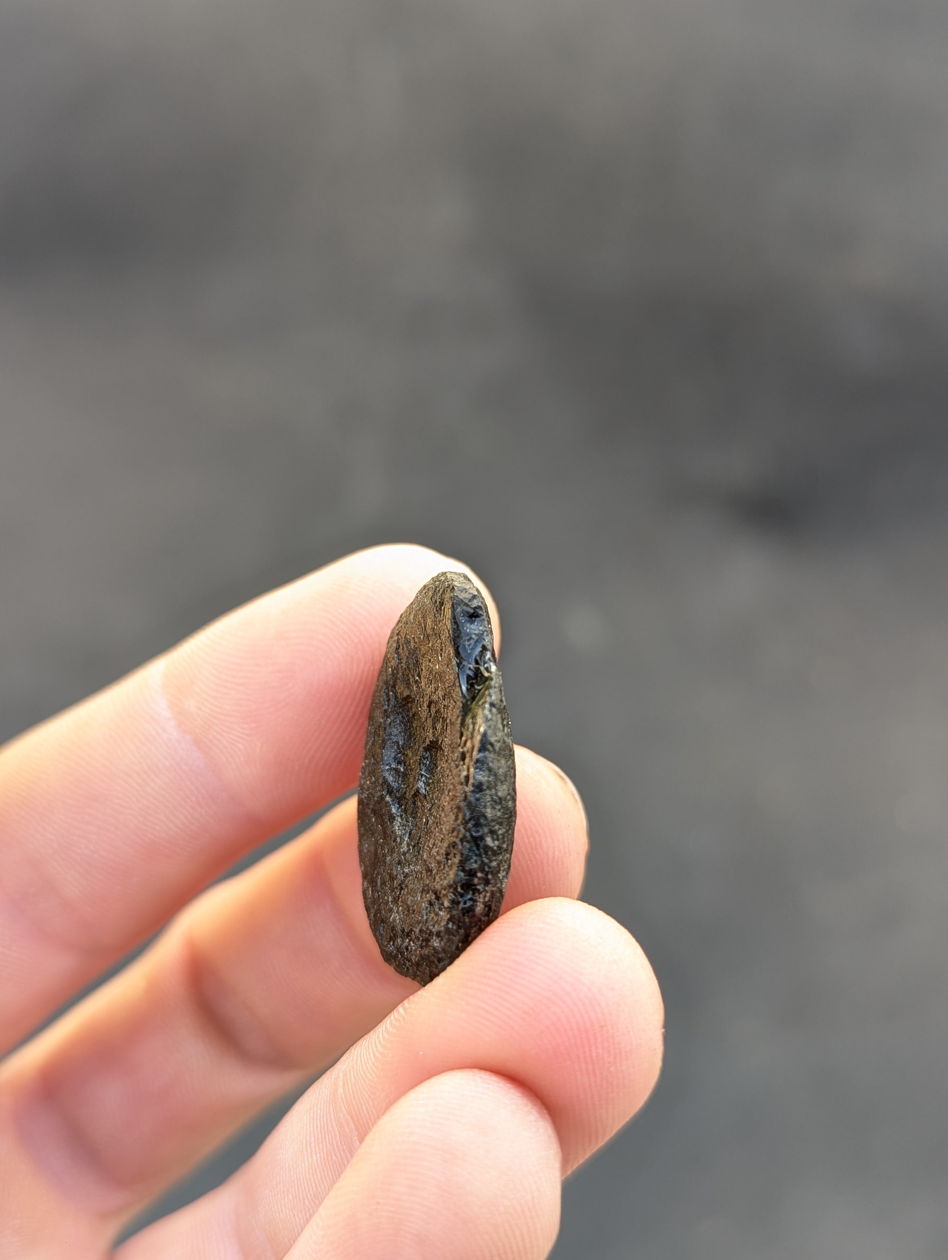 Moravian Moldavite – Kuchařovice | 8.15 g | Green Disk Collector Specimen