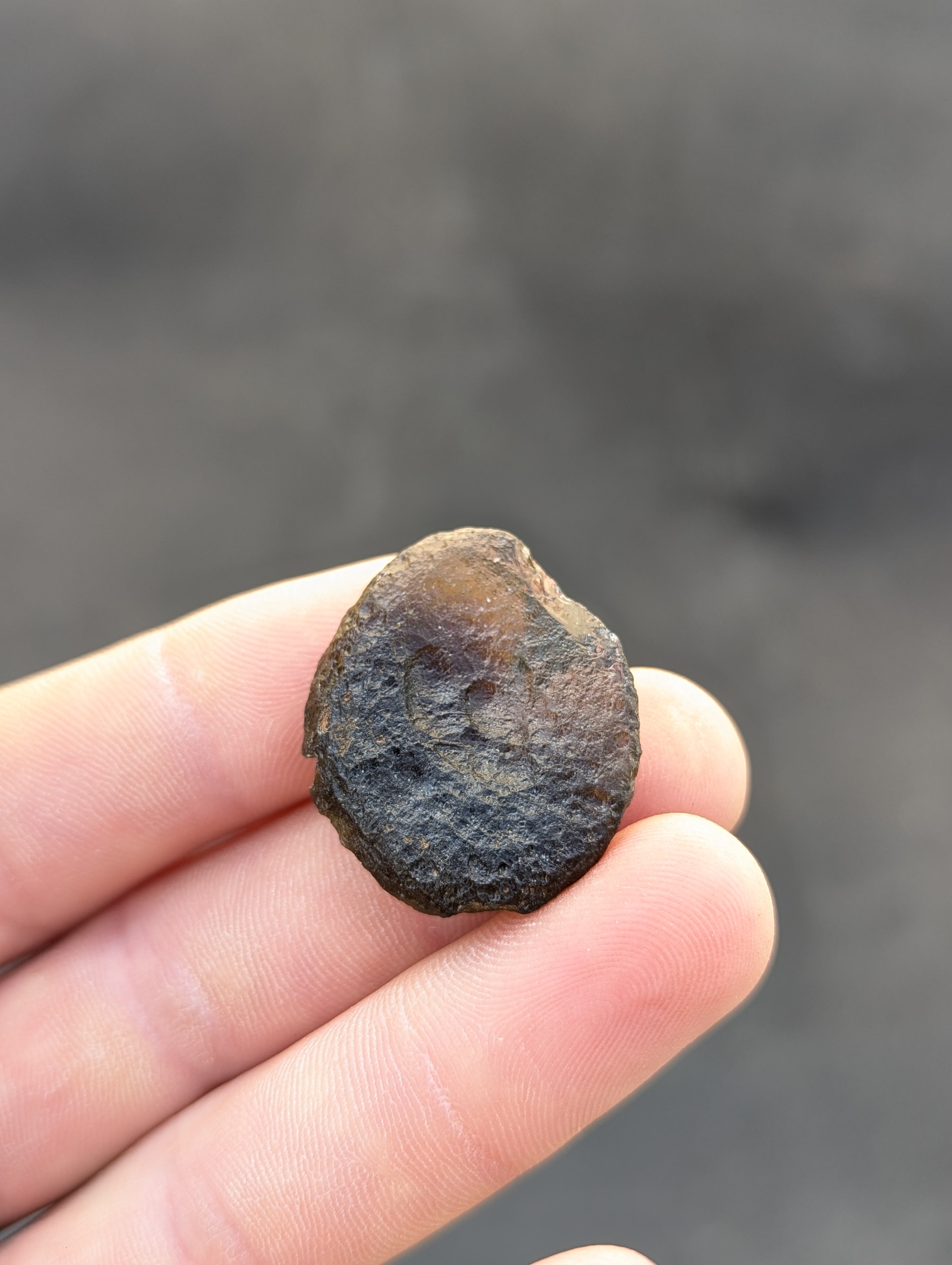 Moravian Moldavite – Kuchařovice | 8.15 g | Green Disk Collector Specimen