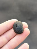 Moravian Moldavite – Kuchařovice | 9.40 g | Crescent-Sculpted Collector Specimen