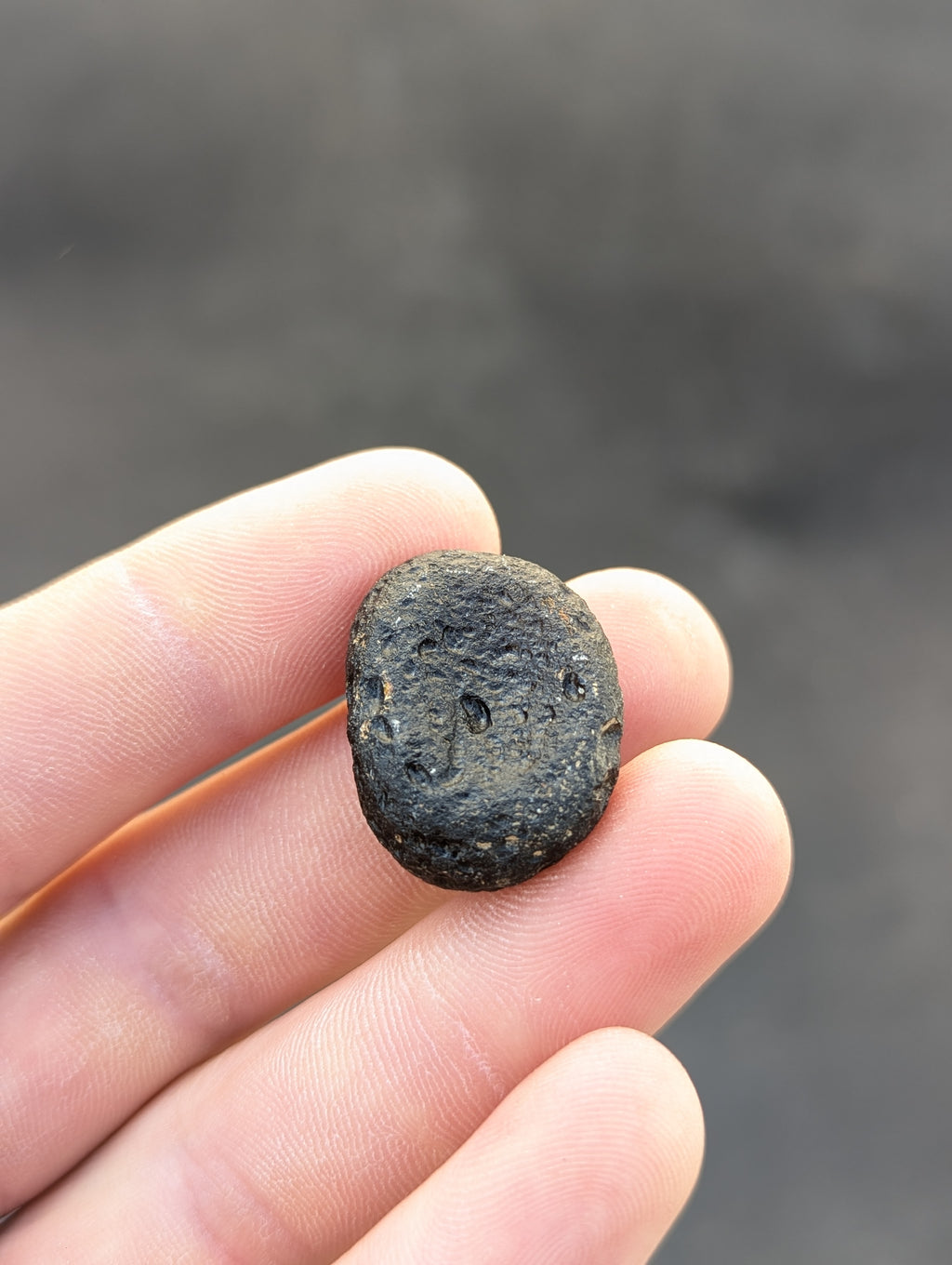Moravian Moldavite – Kuchařovice | 9.40 g | Crescent-Sculpted Collector Specimen