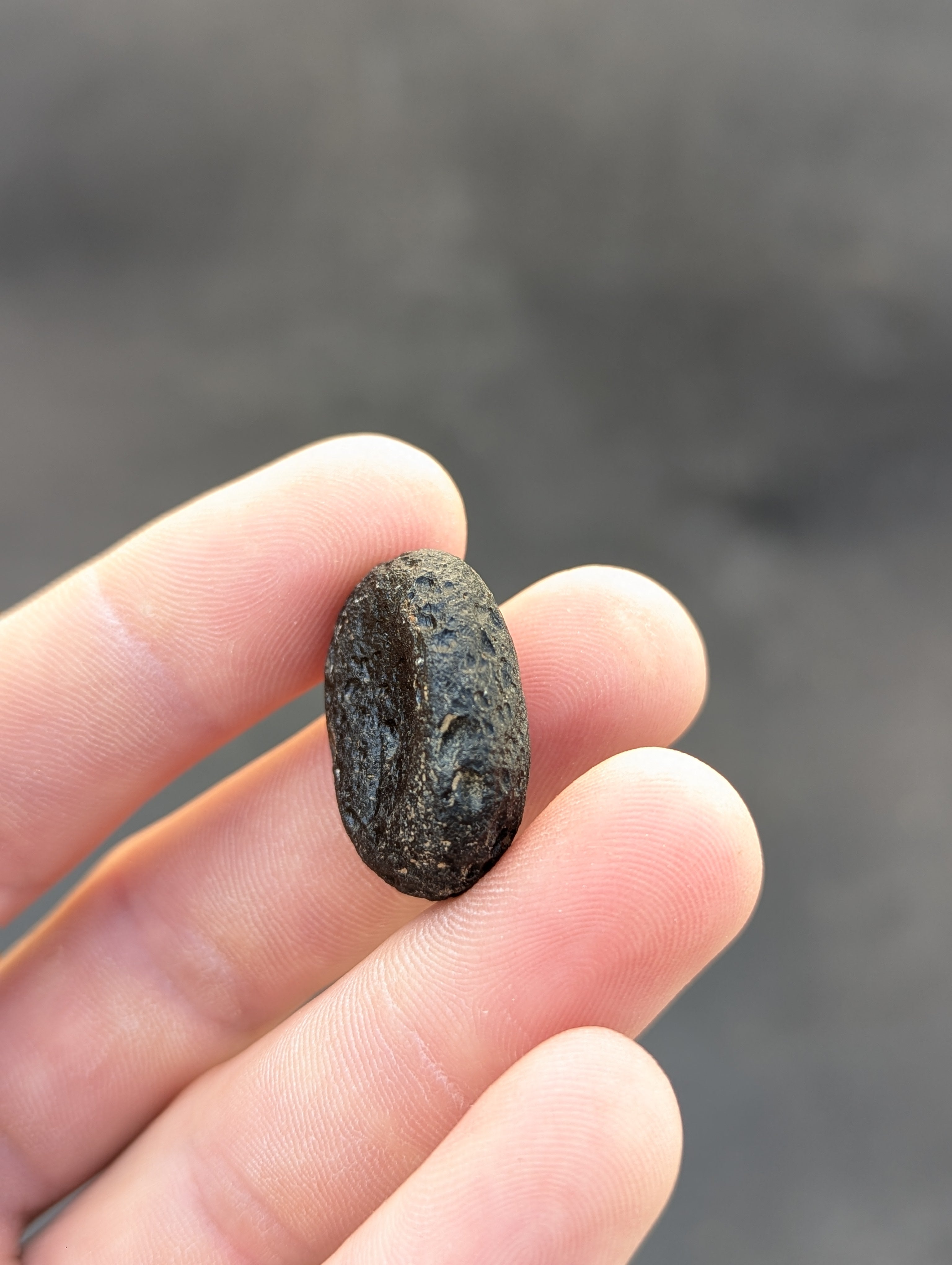 Moravian Moldavite – Kuchařovice | 9.40 g | Crescent-Sculpted Collector Specimen