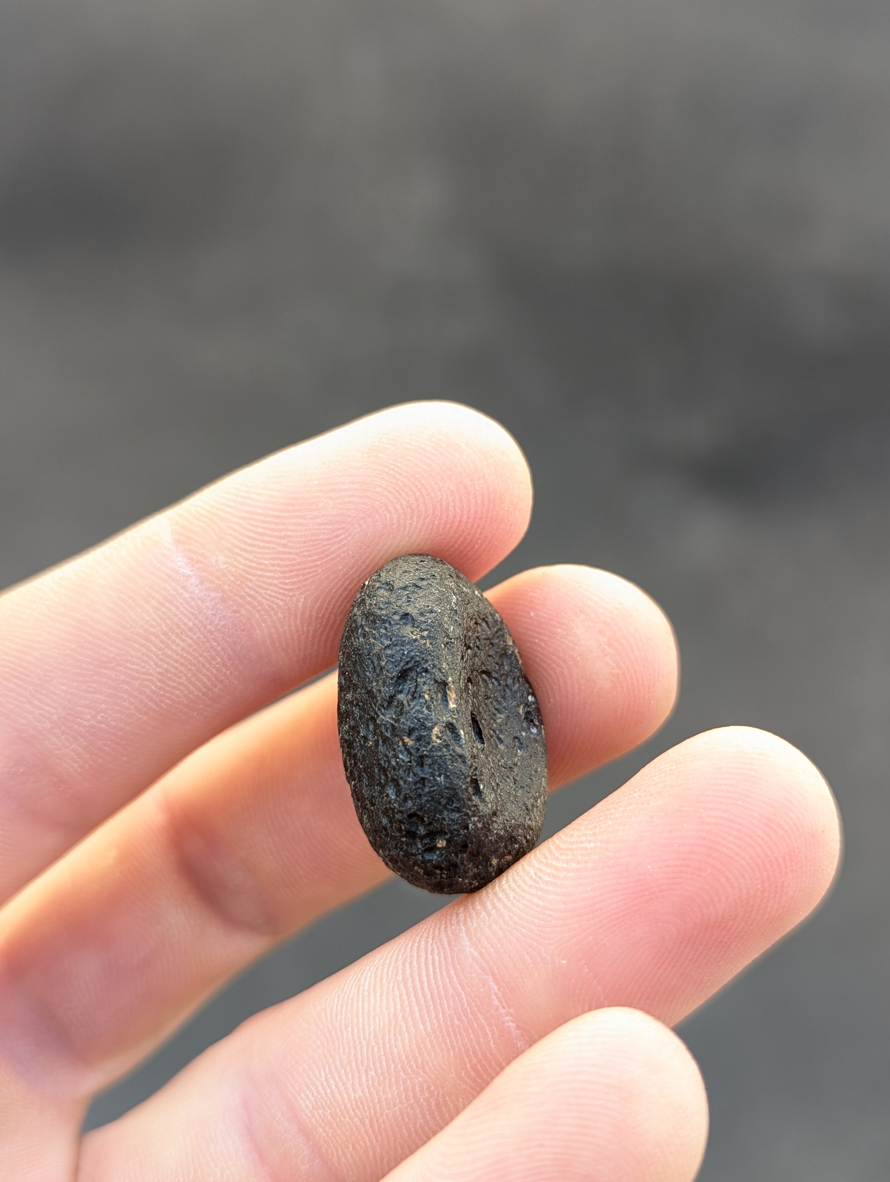 Moravian Moldavite – Kuchařovice | 9.40 g | Crescent-Sculpted Collector Specimen