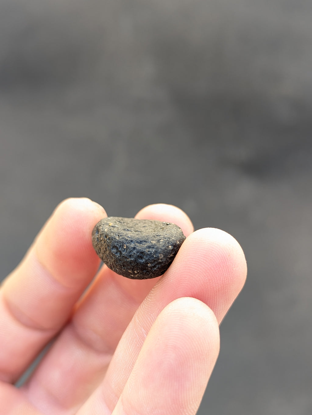 Moravian Moldavite – Kuchařovice | 9.40 g | Crescent-Sculpted Collector Specimen