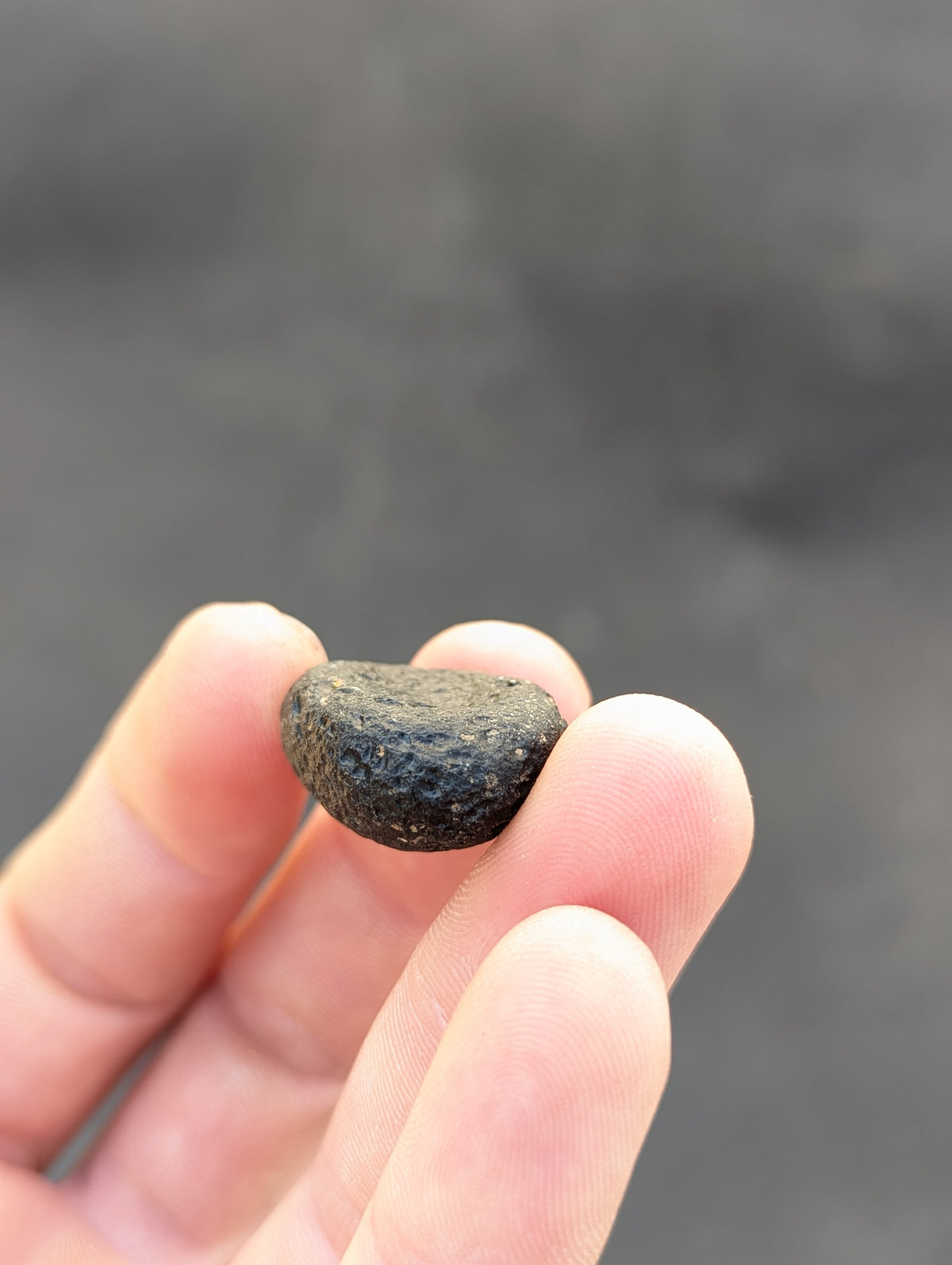 Moravian Moldavite – Kuchařovice | 9.40 g | Crescent-Sculpted Collector Specimen