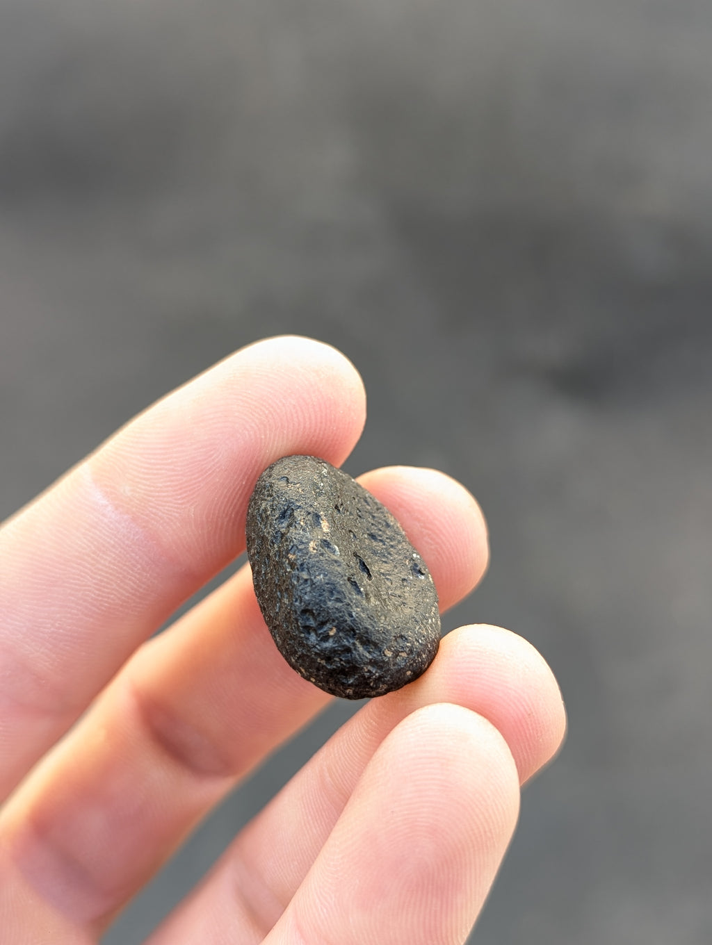 Moravian Moldavite – Kuchařovice | 9.40 g | Crescent-Sculpted Collector Specimen