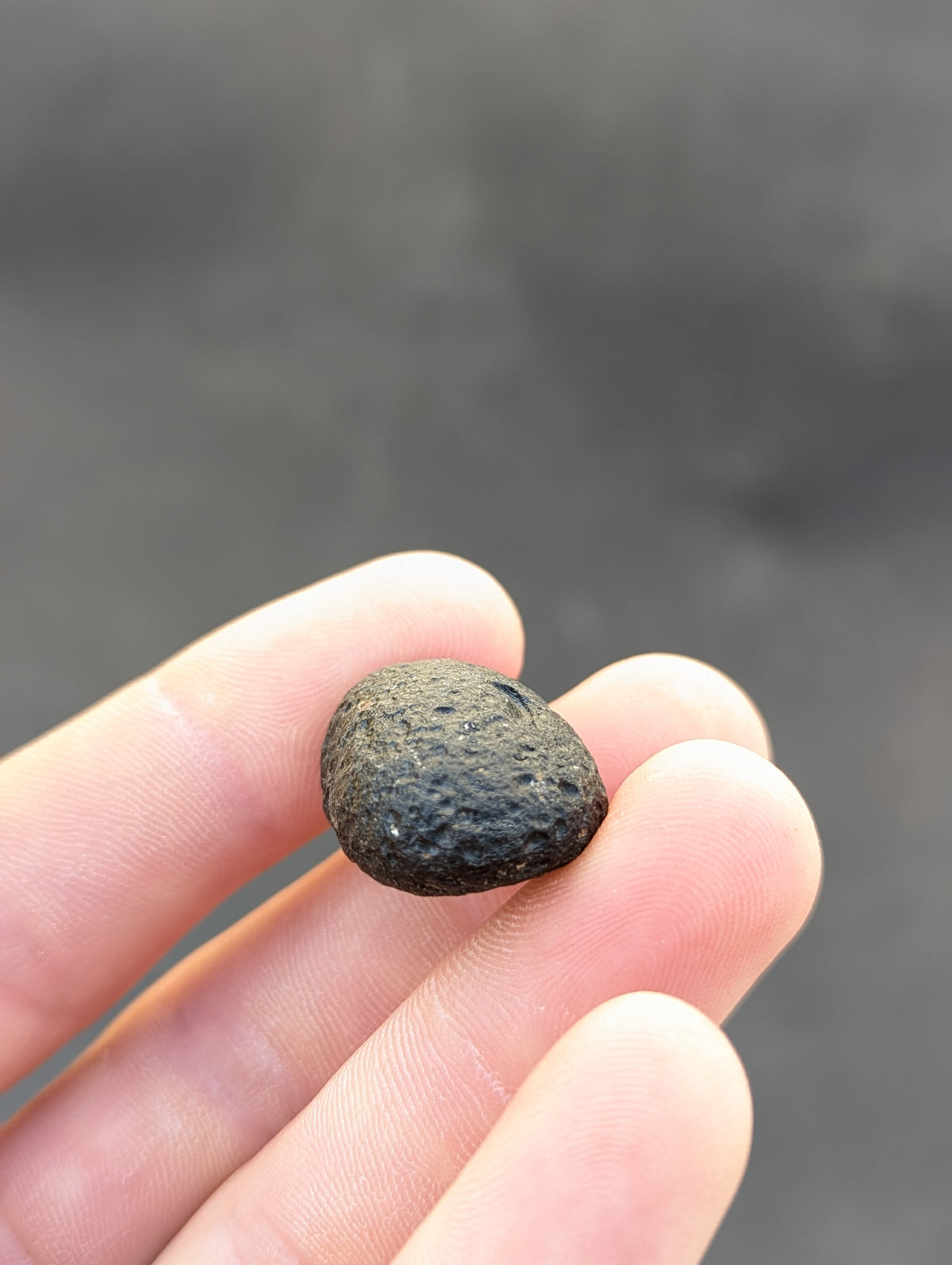 Moravian Moldavite – Kuchařovice | 9.40 g | Crescent-Sculpted Collector Specimen