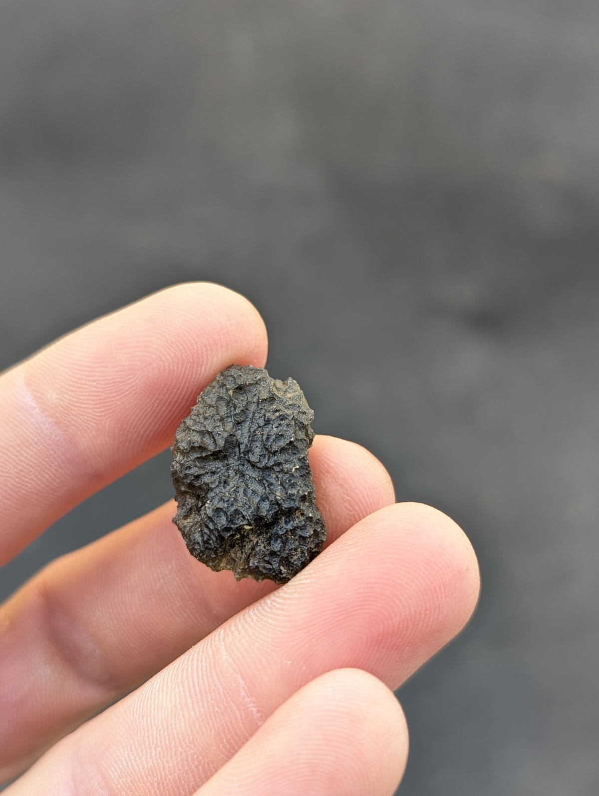 Moravian Moldavite – Dukovany | 6.45 g | Unusually Sculpted Collector Specimen
