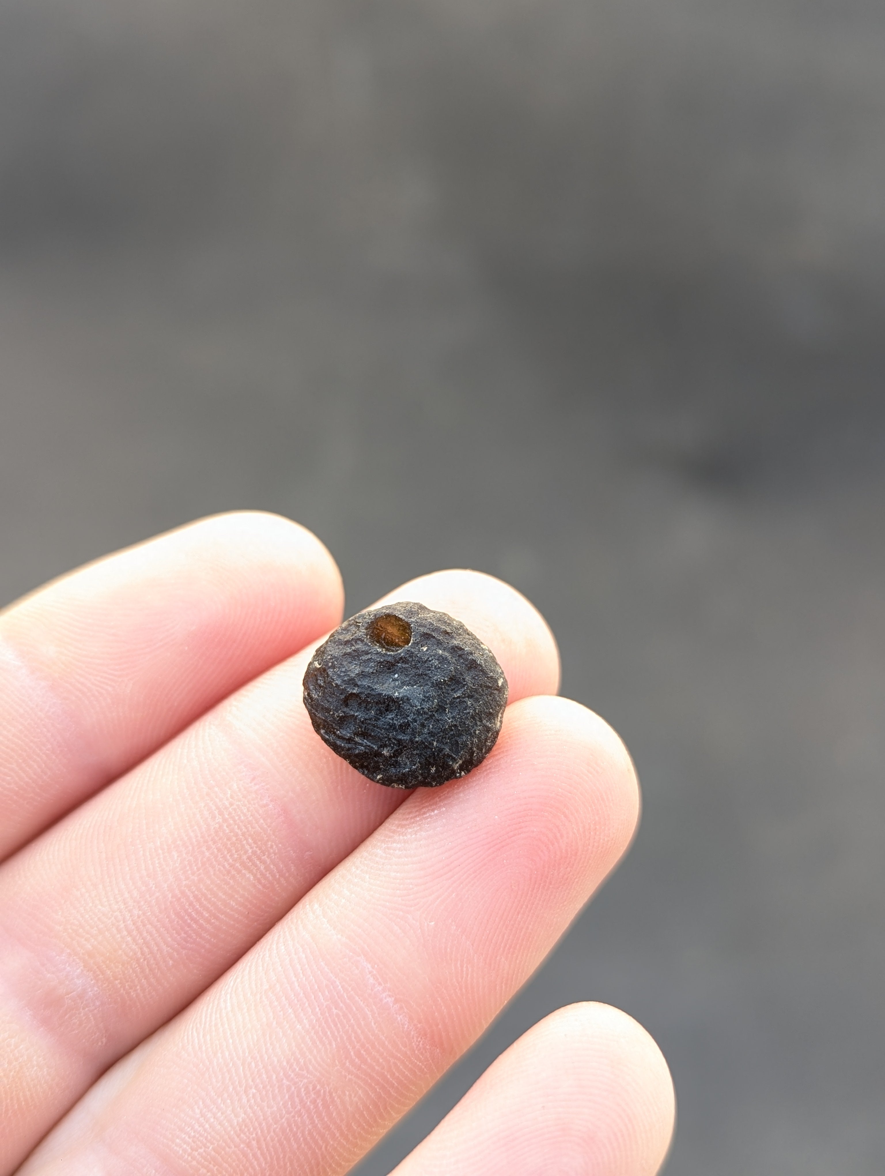 Moravian Moldavite – Slavětice | 2.36 g | Disk with Open Bubble
