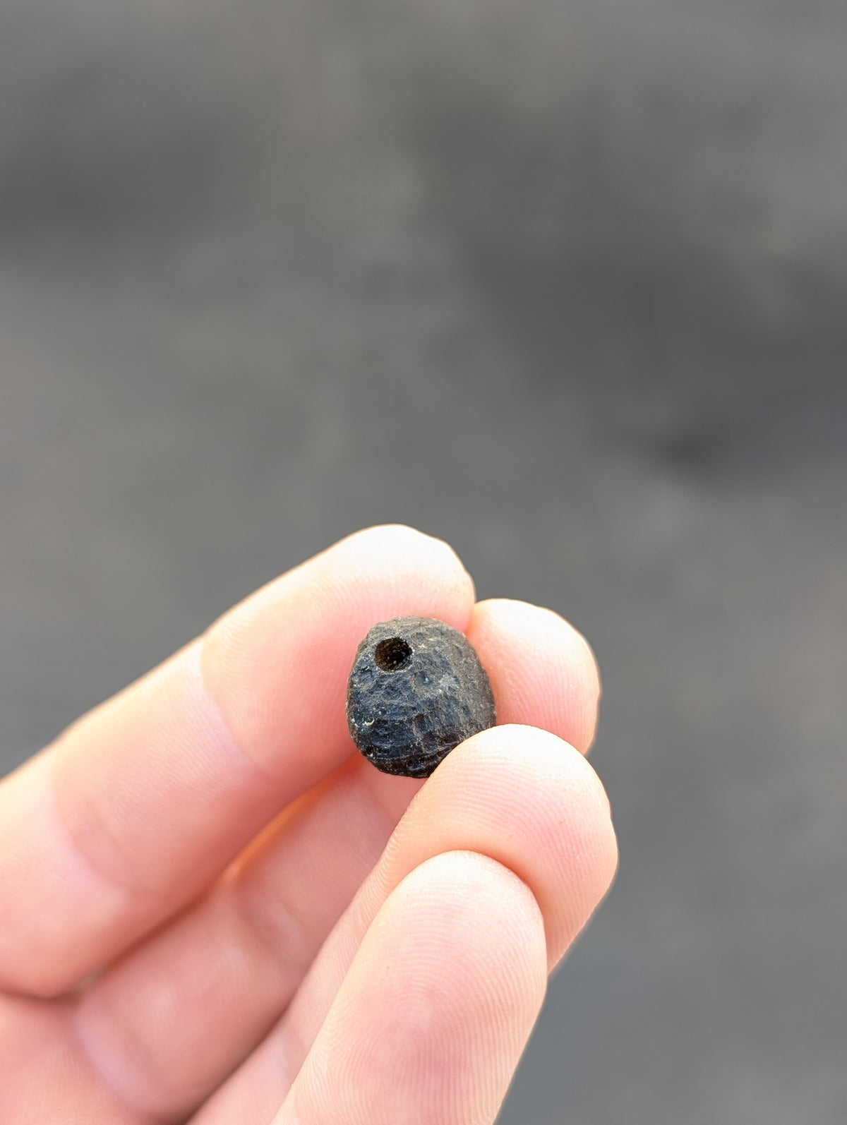 Moravian Moldavite – Slavětice | 2.36 g | Disk with Open Bubble