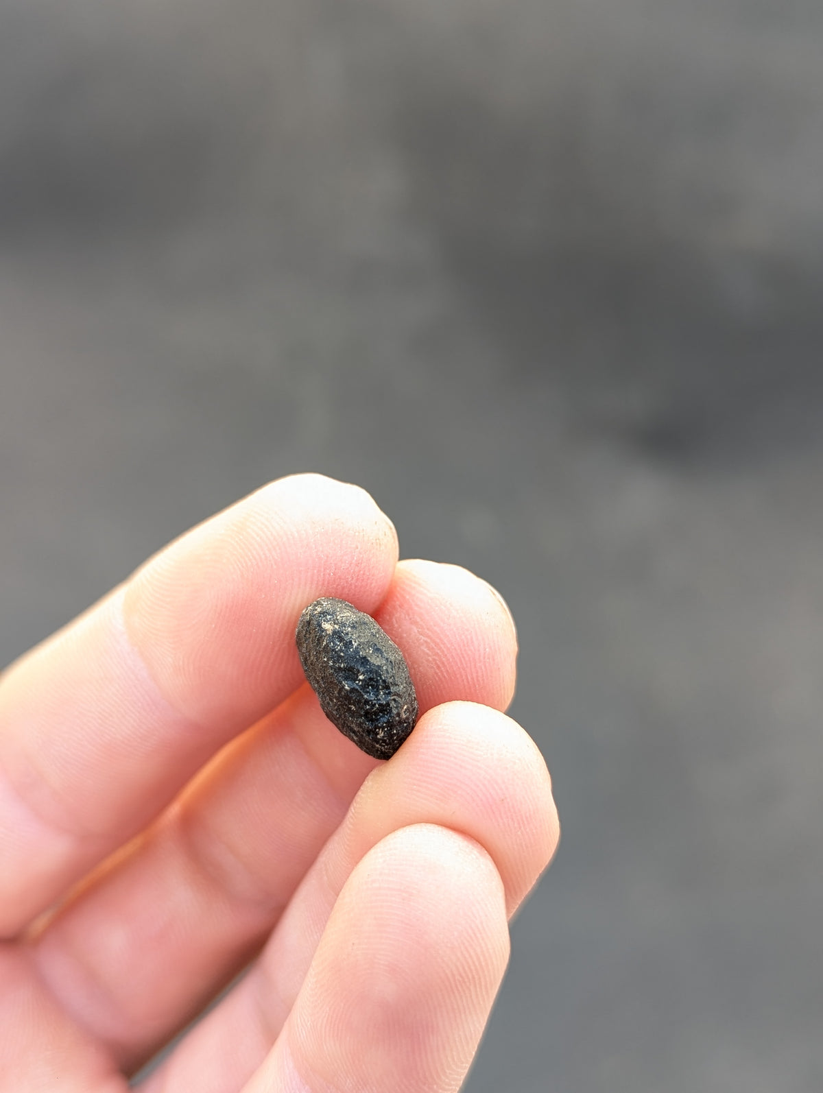 Moravian Moldavite – Slavětice | 2.36 g | Disk with Open Bubble